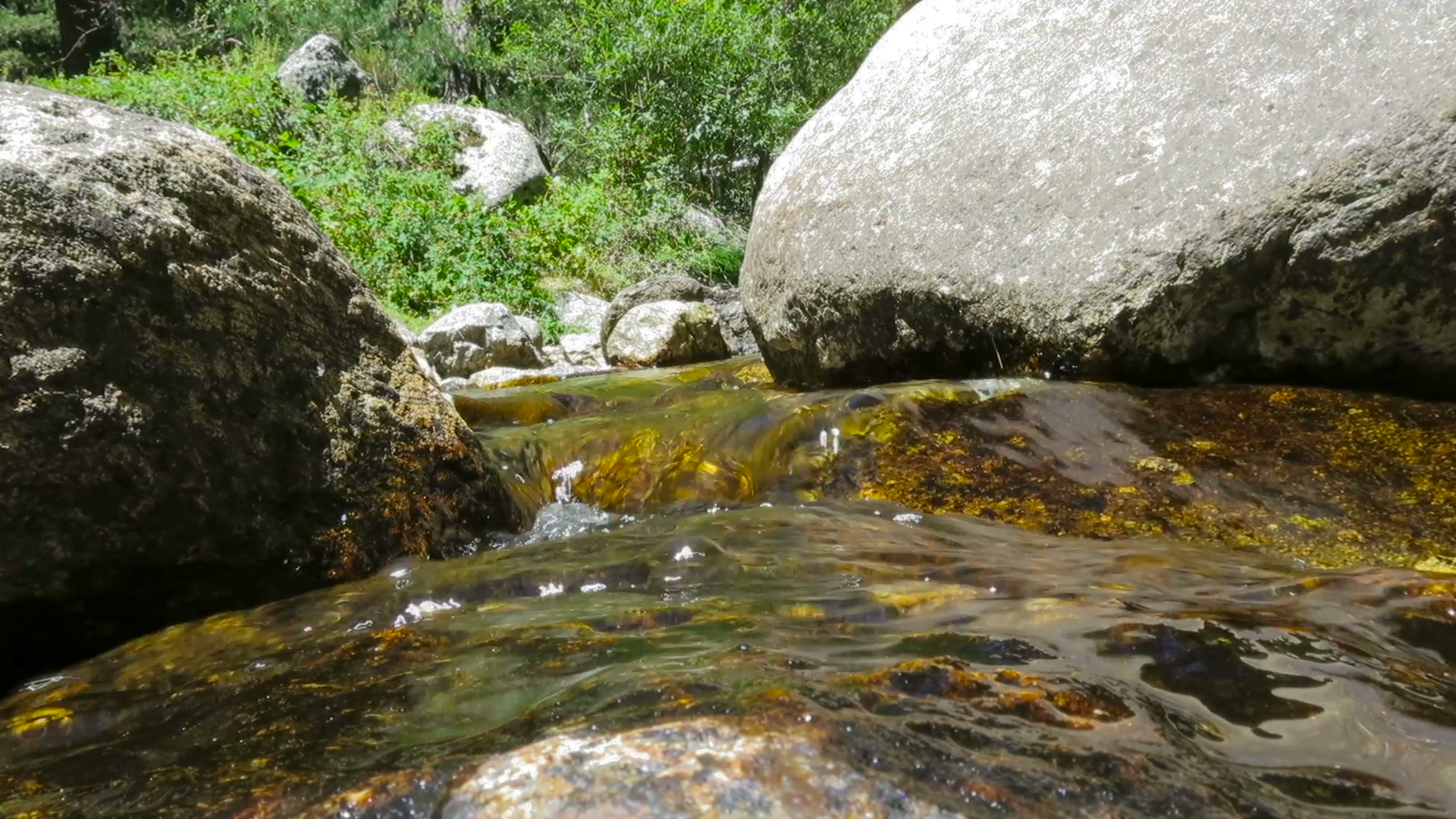 pond river clear water full of rocks and stones in background in ...