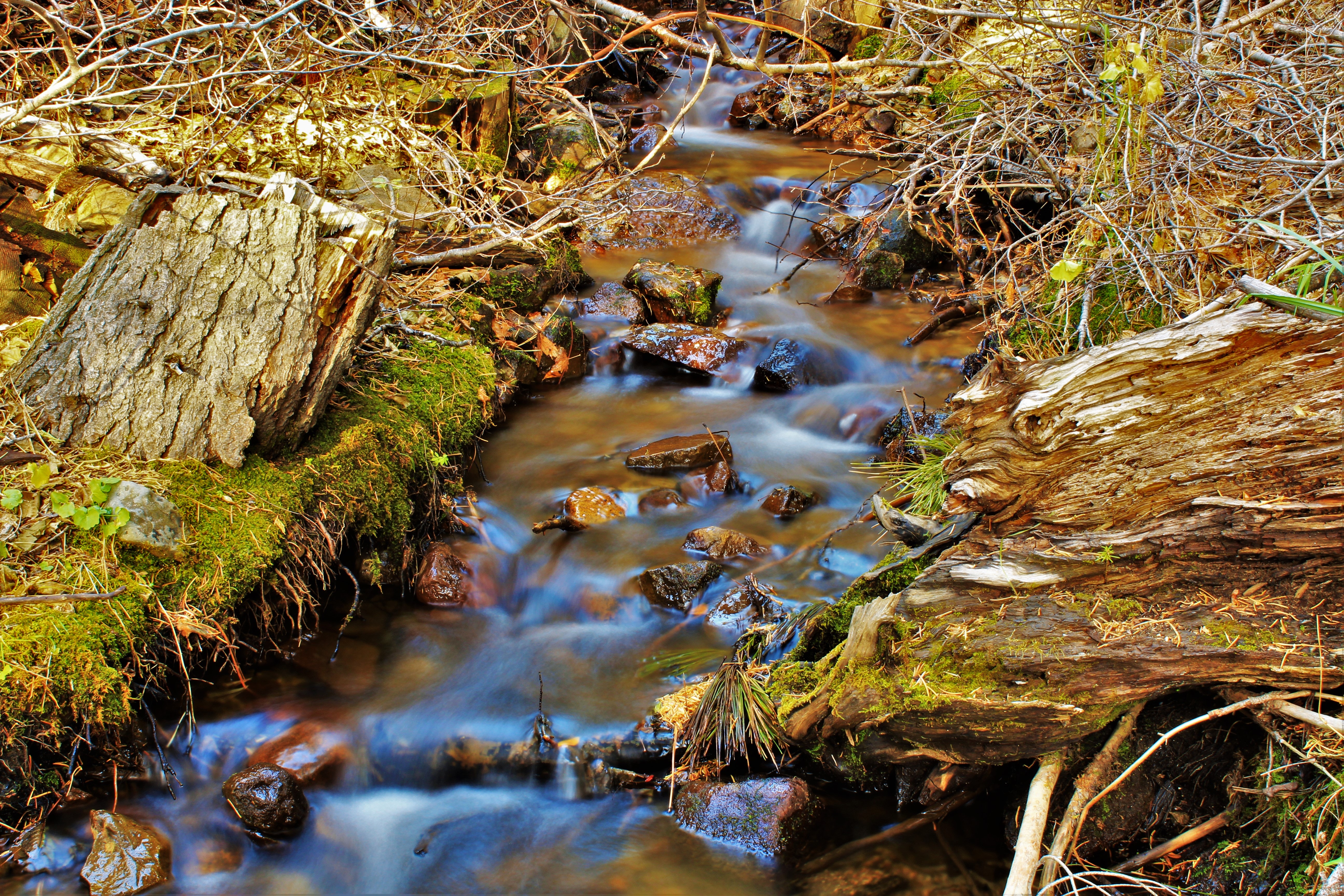 Water stream on creeks photo