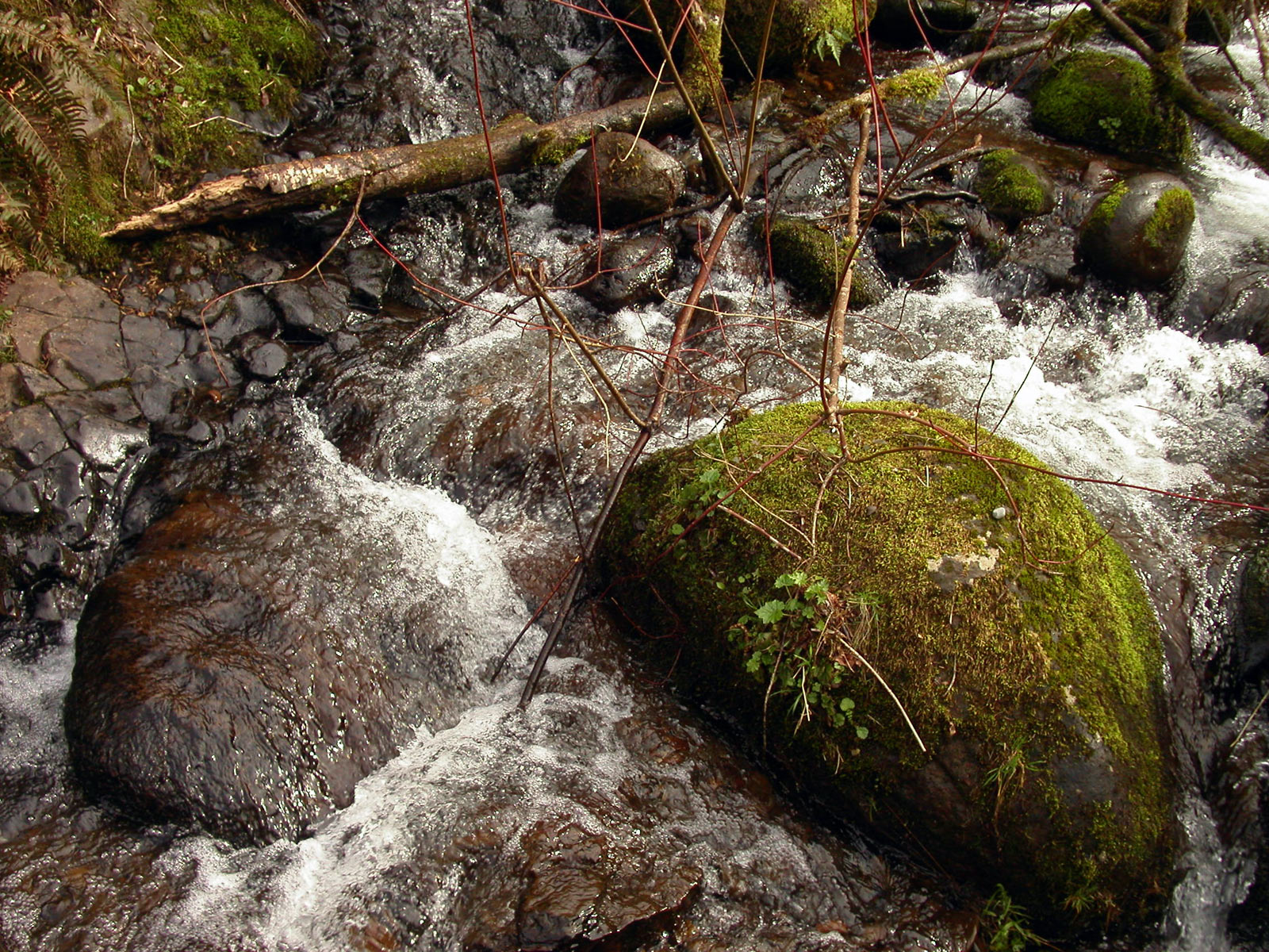 Water stream photo