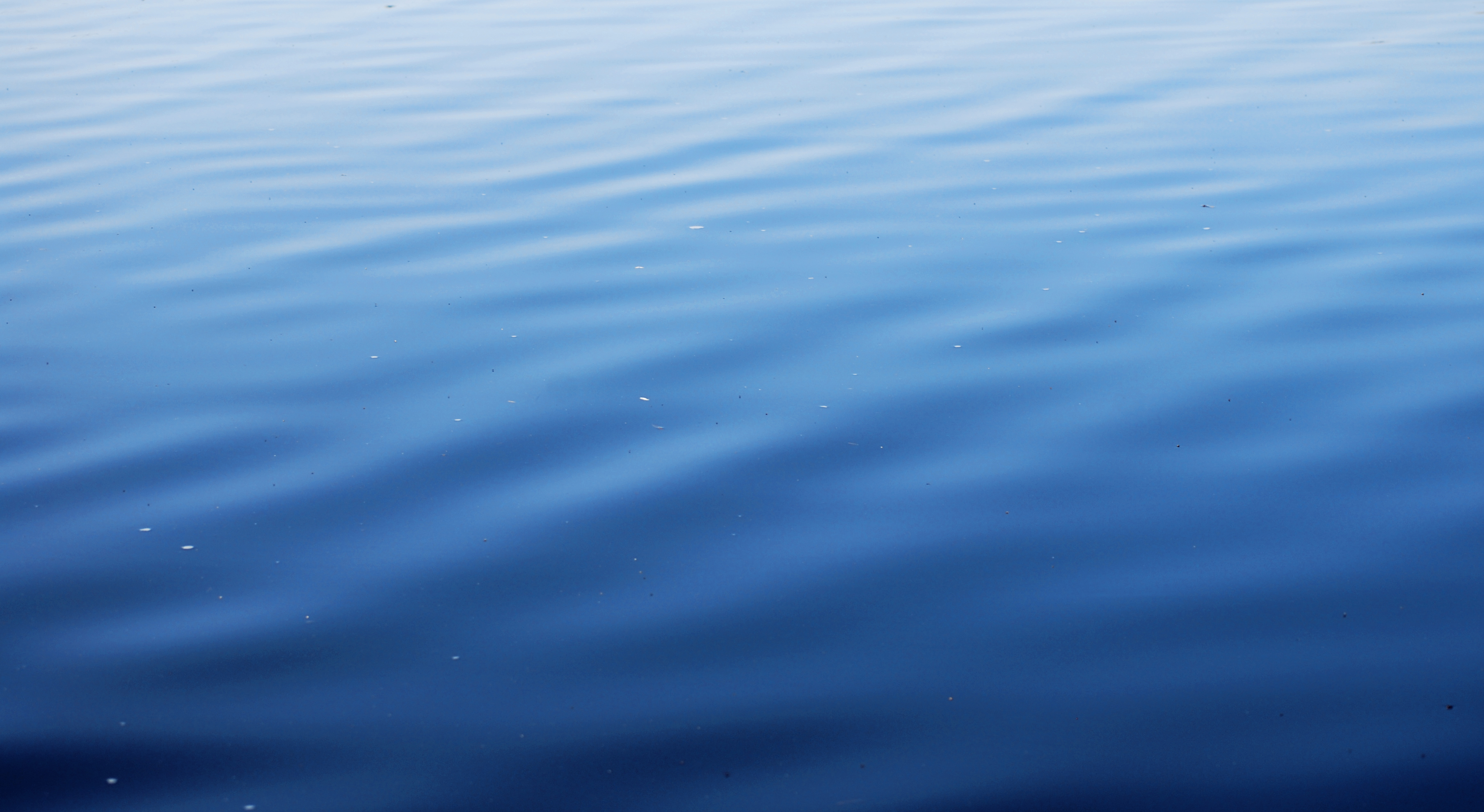 free-photo-water-surface-blue-forms-green-free-download-jooinn