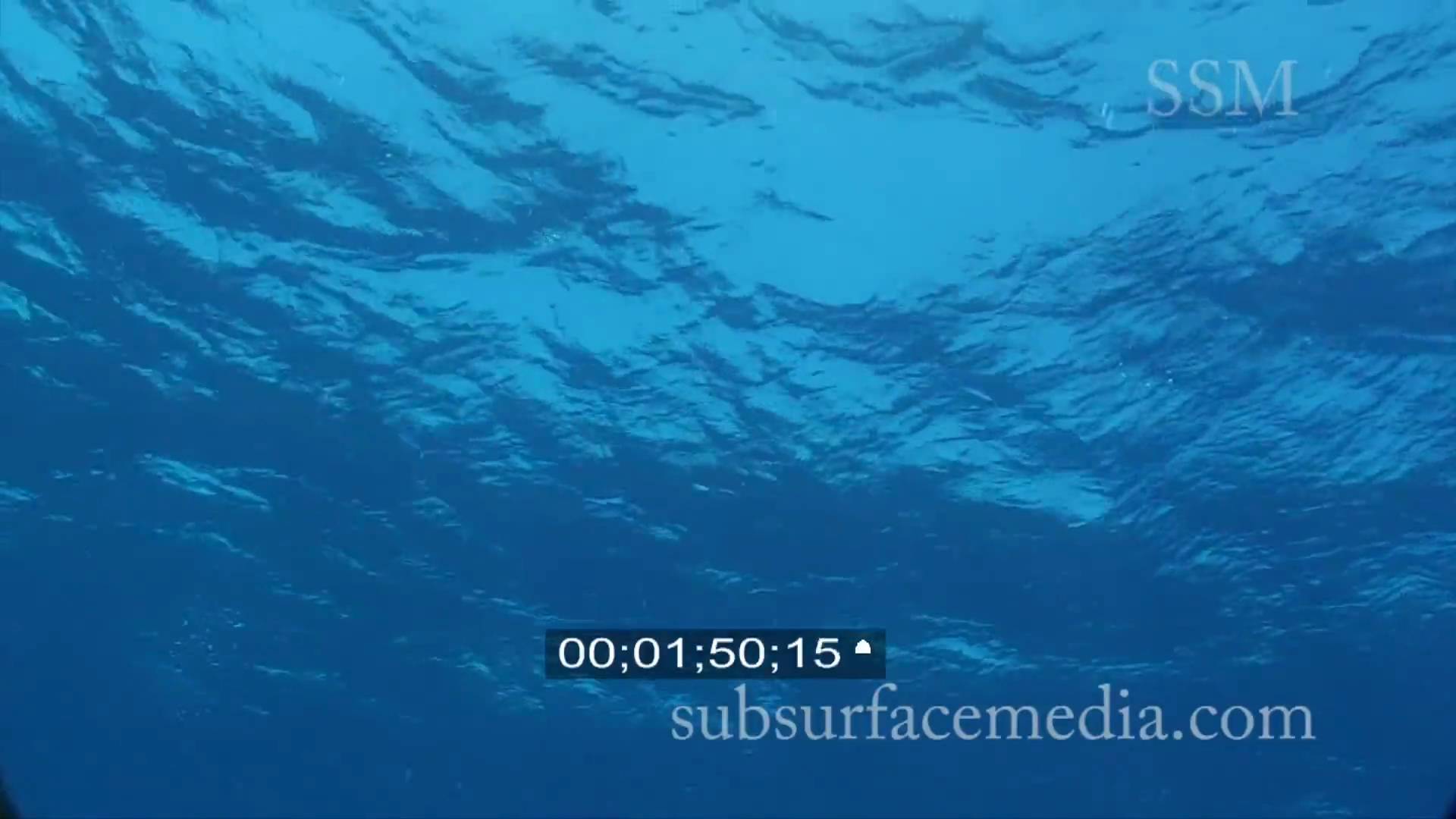 Stock Footage; Blue water surface from below - YouTube