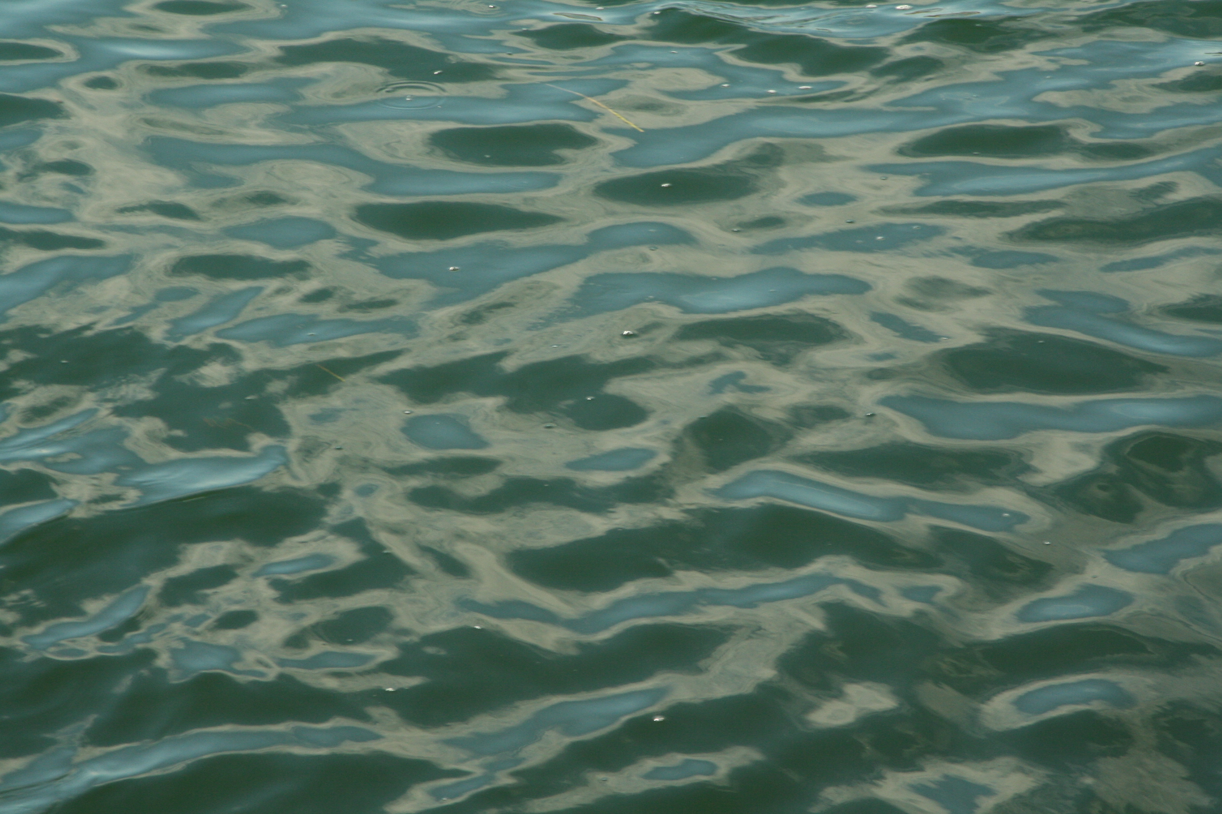 File:Ocean water surface texture 2 - Martha's Vineyard.JPG ...