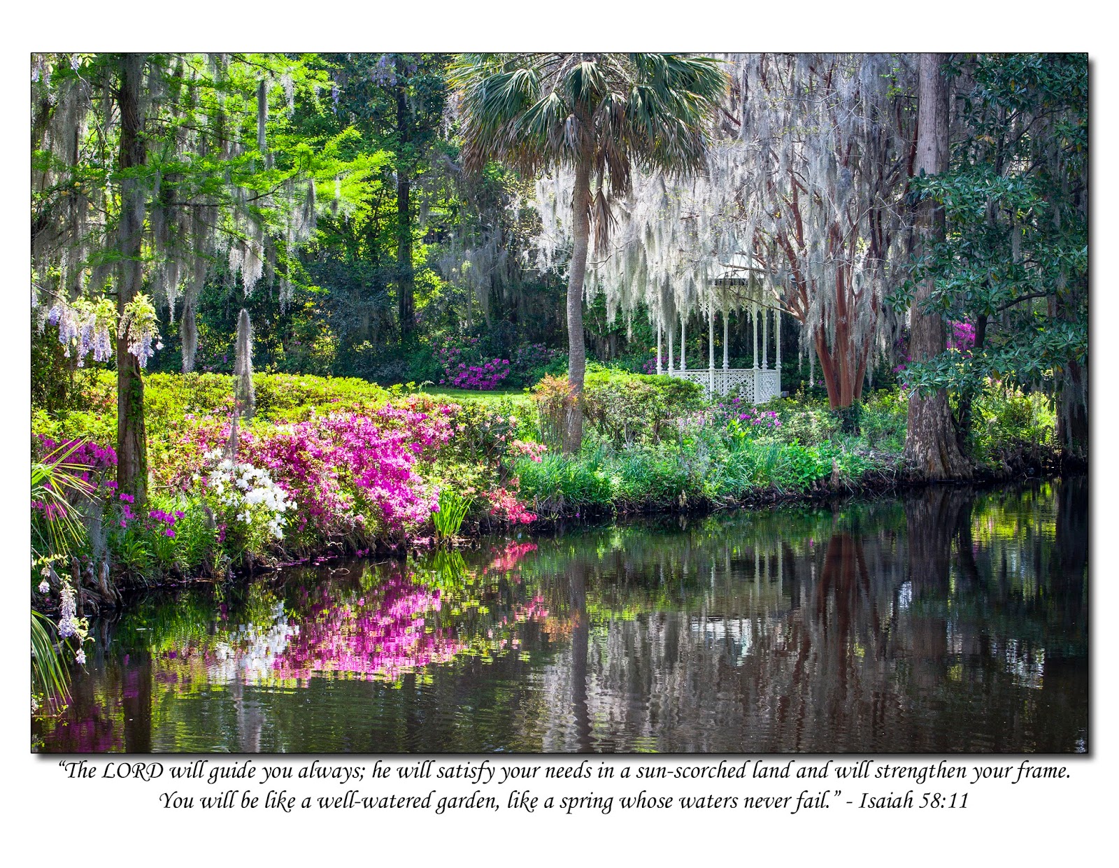 The Siggins Photography Blog: A Well-Watered Garden