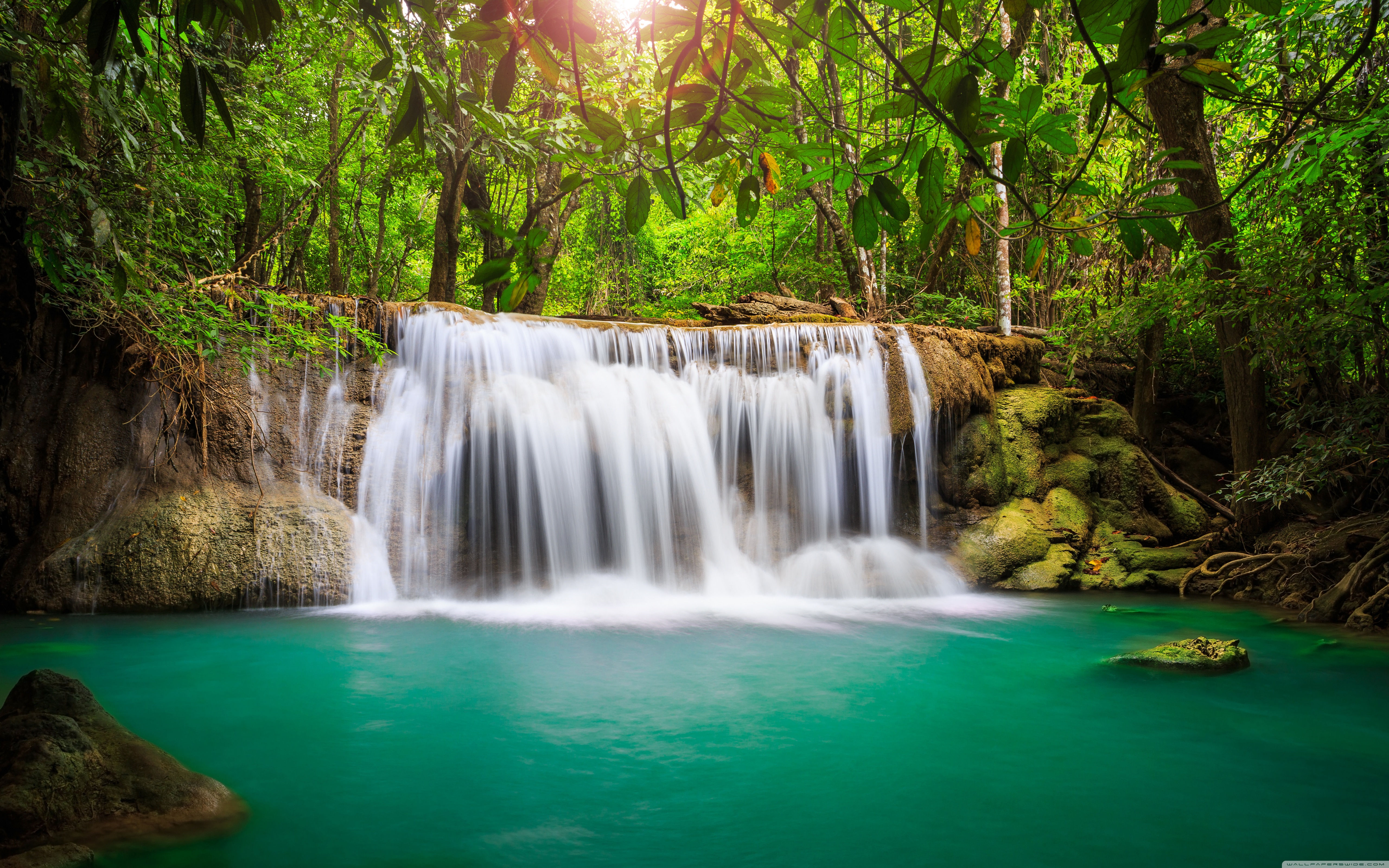 Rainforest Waterfall ❤ 4K HD Desktop Wallpaper for 4K Ultra HD TV ...