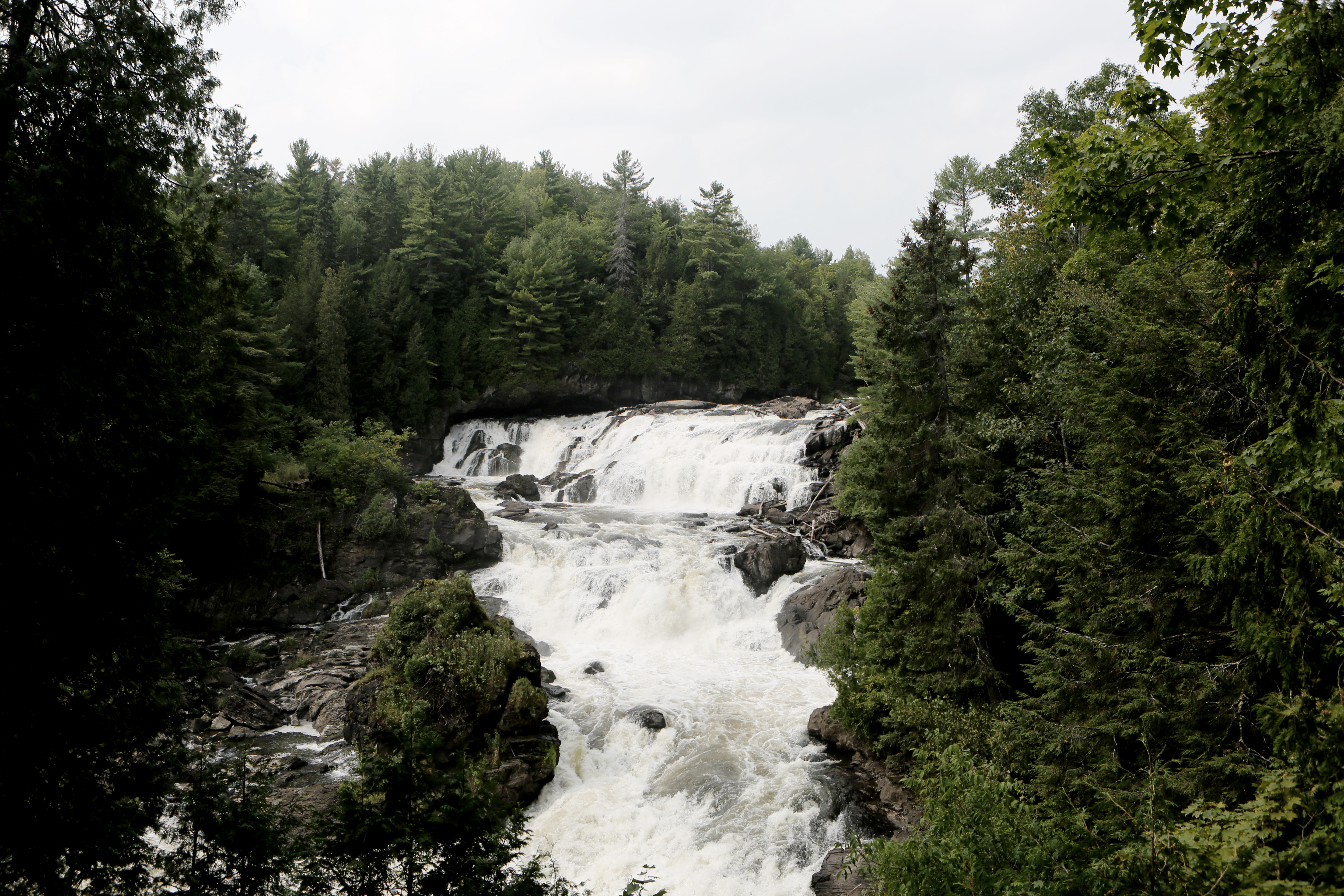 Waterfall, Fall, Forest, Jungle, Stream, HQ Photo