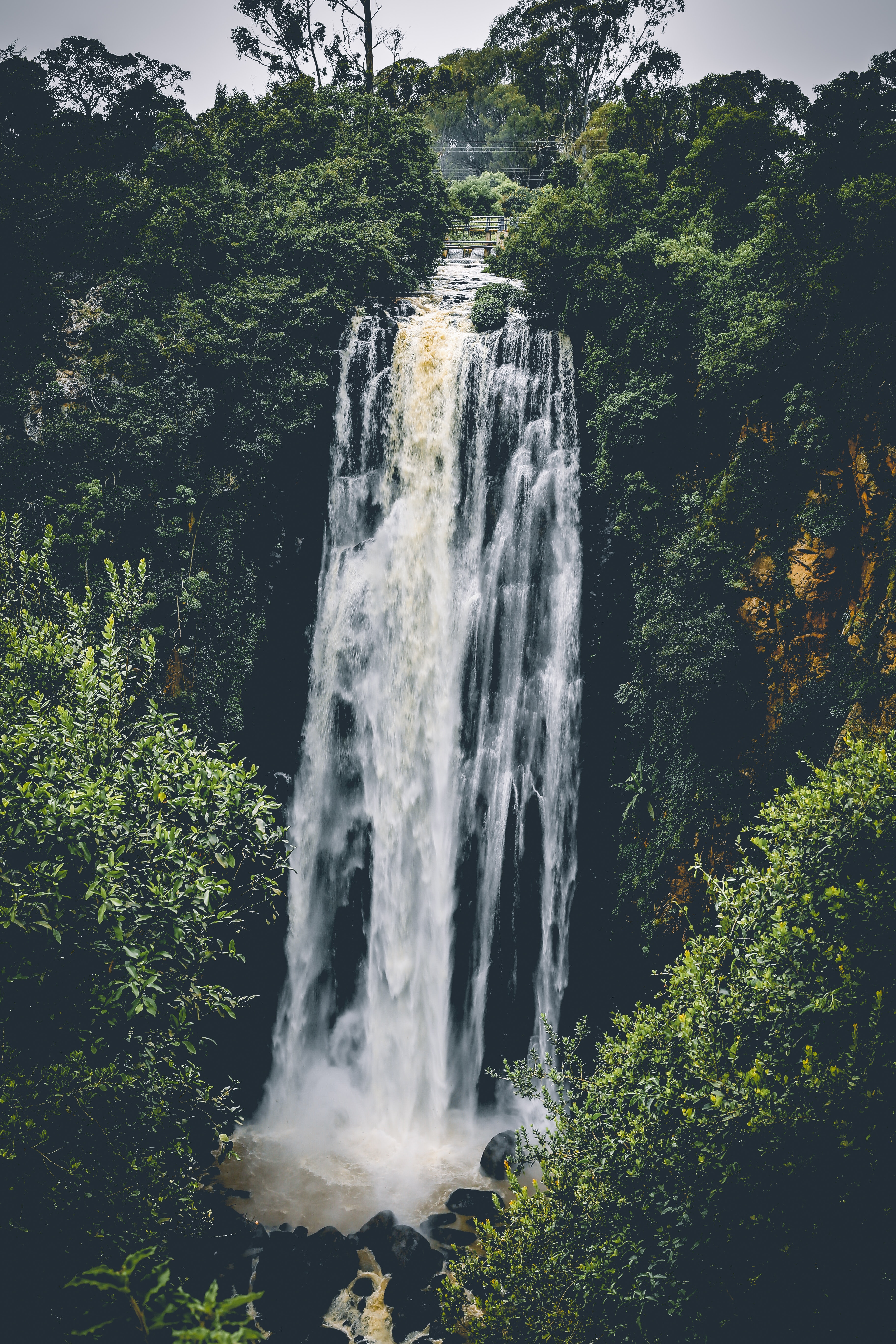 Waterfall between trees photo