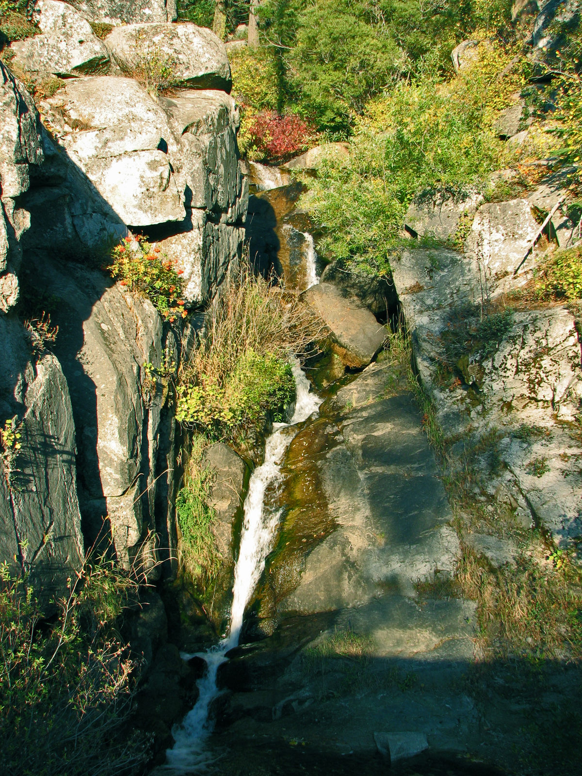 Waterfall in ponderosa pines photo