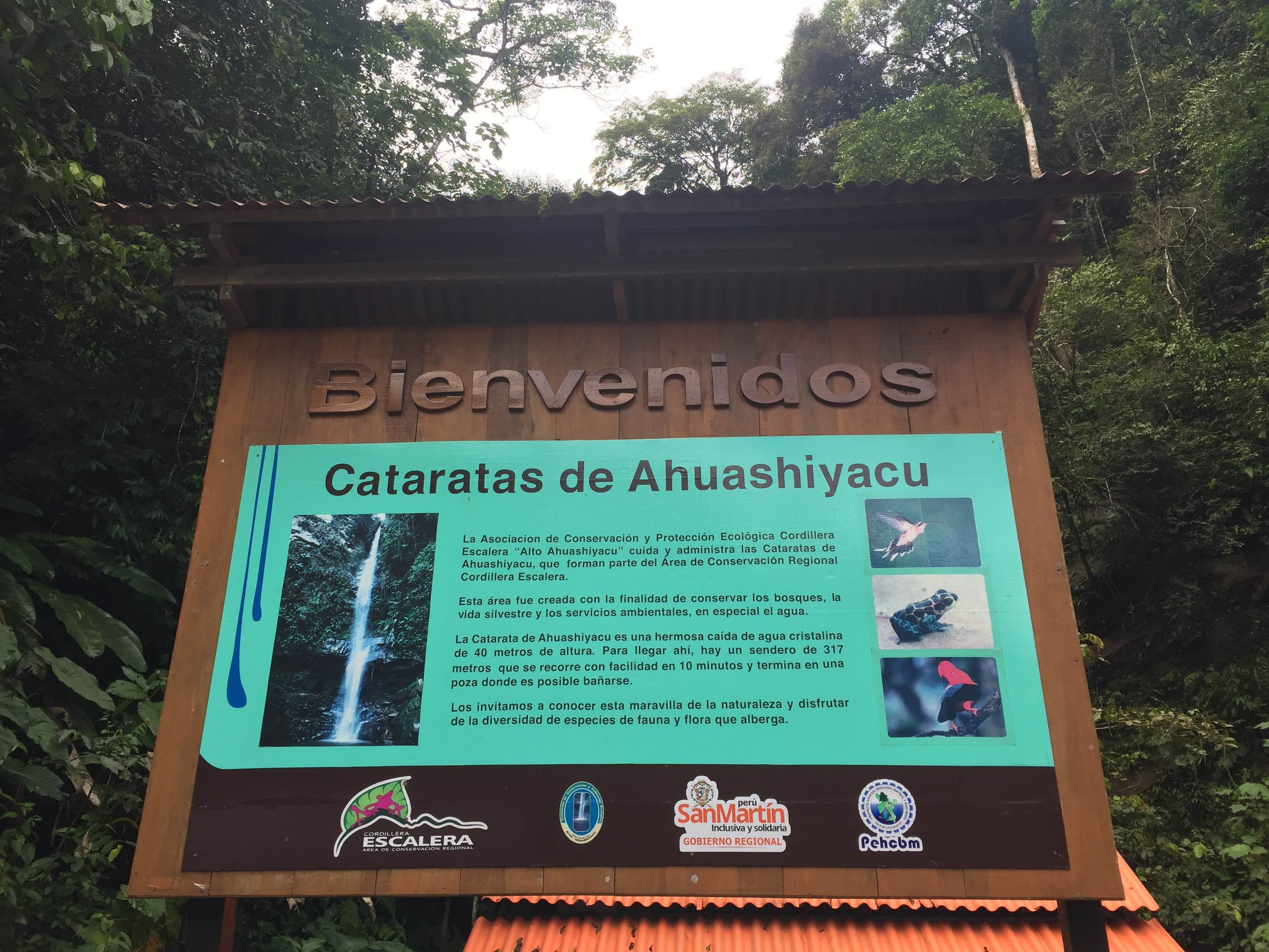 Photos of Ahuashiyacu Waterfall - Images
