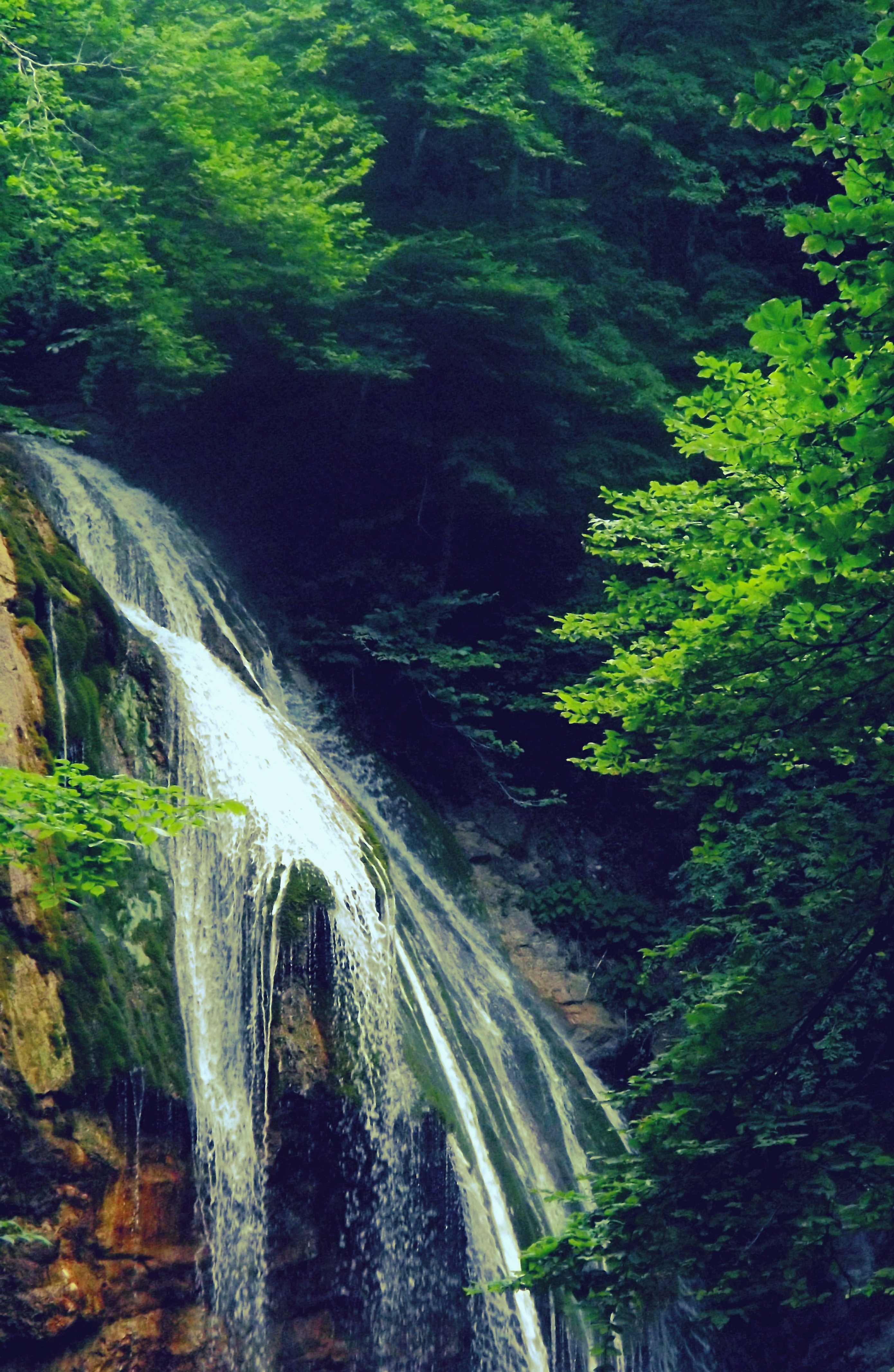 Waterfalls beside trees photo
