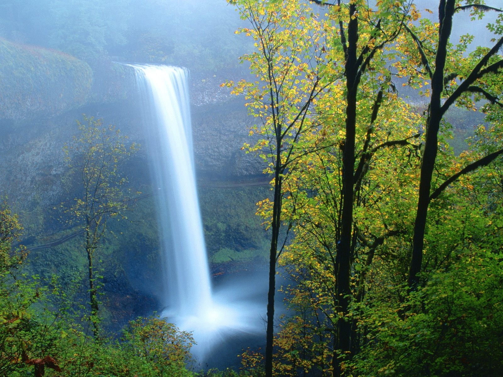 Timelapse photo of waterfalls with trees on the side HD wallpaper ...