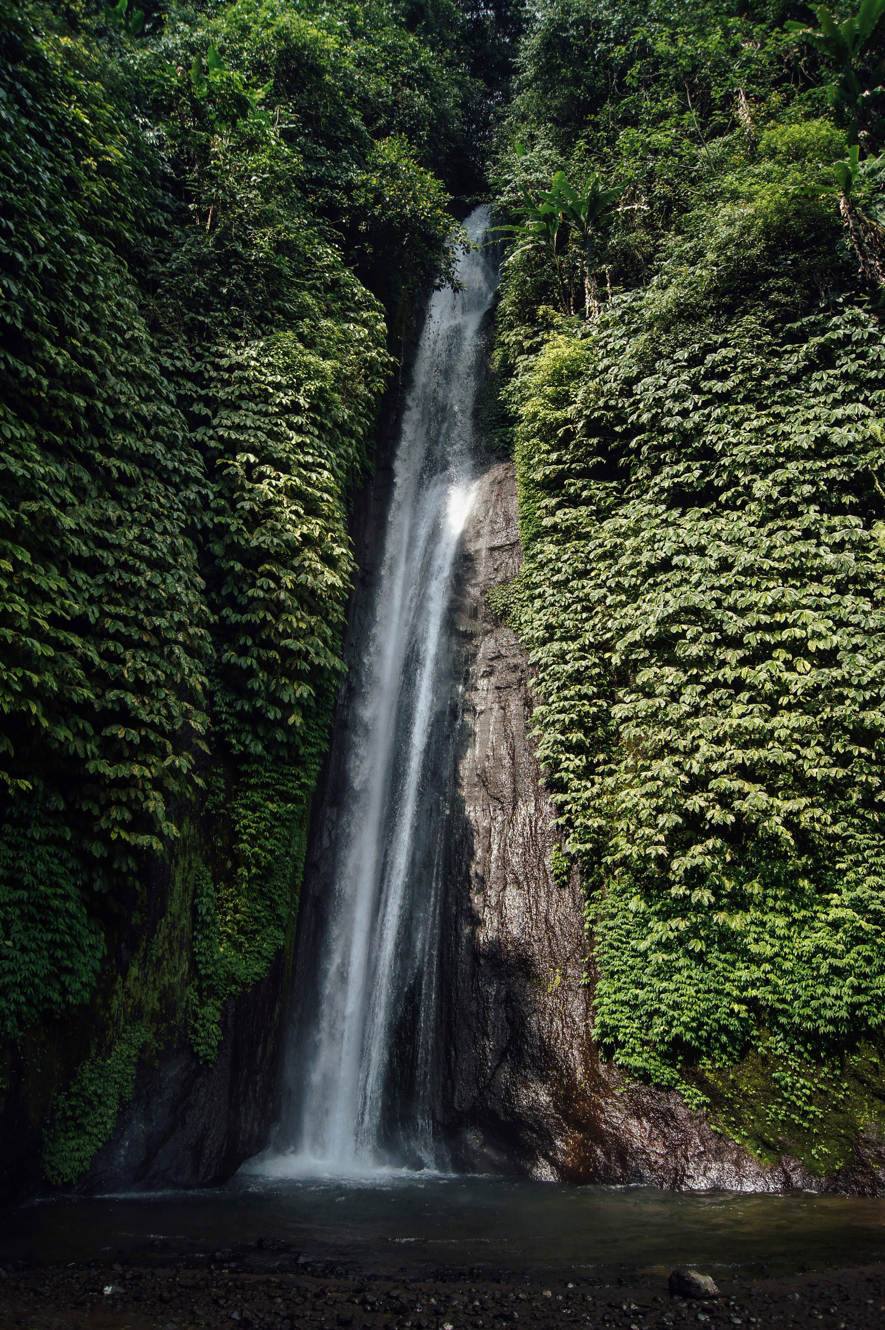 Waterfalls in Nature in Indonesia image - Free stock photo - Public ...