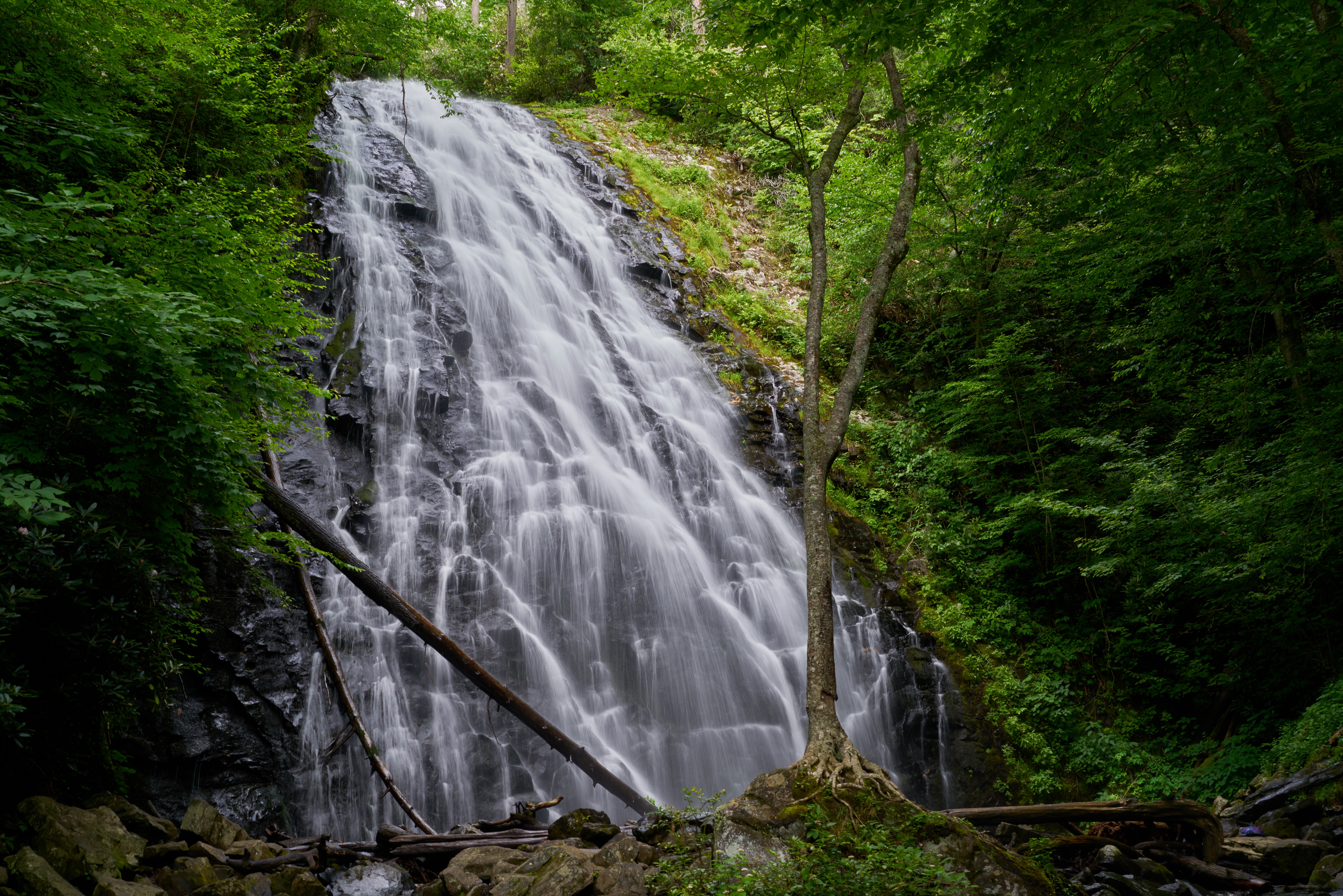 Waterfalls in between green trees photo