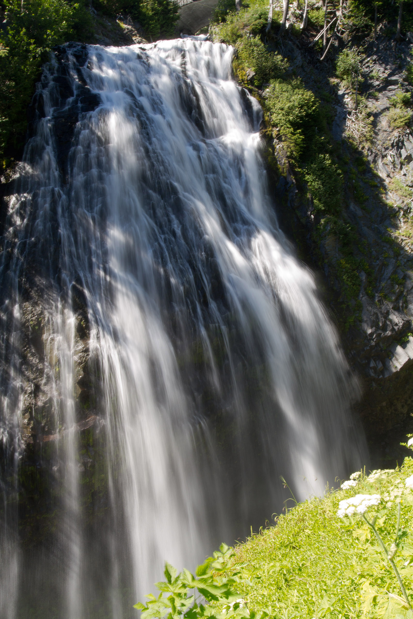 Waterfalls in mount rainer national park photo