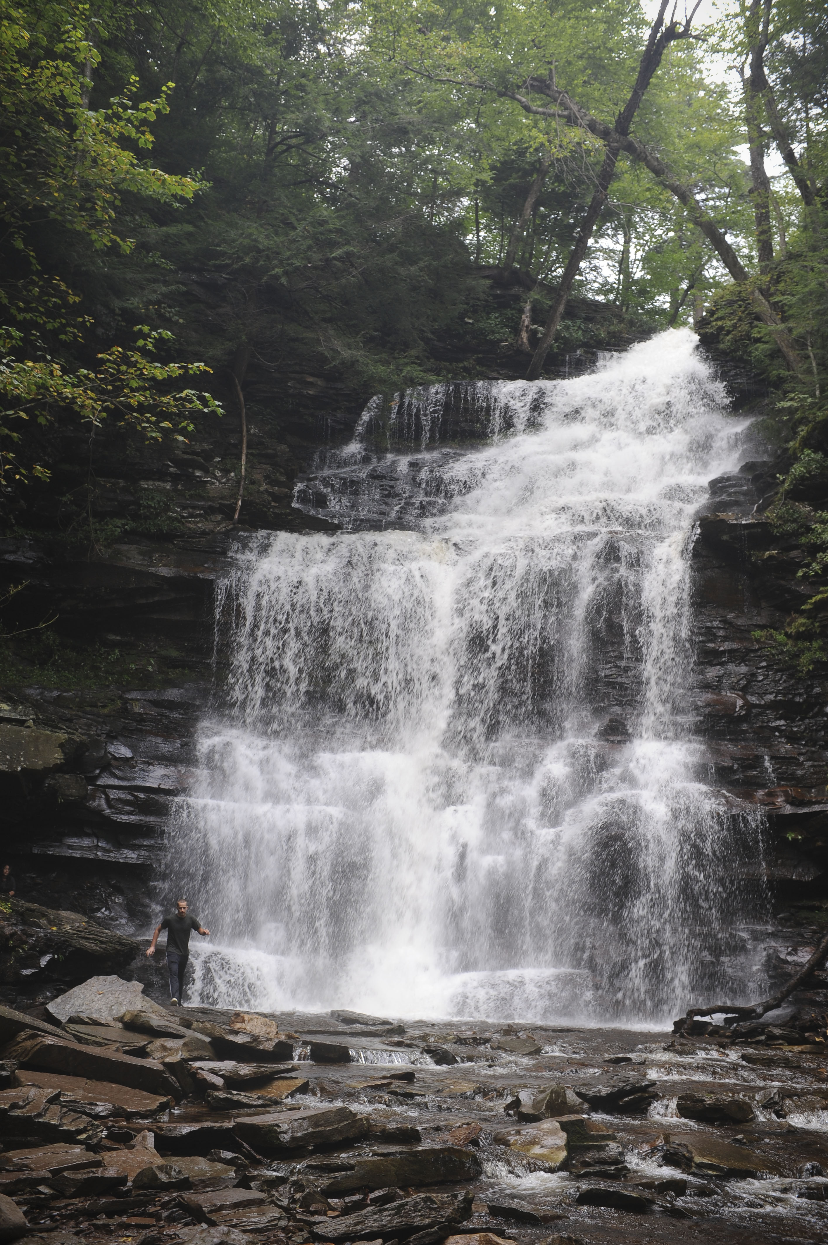Waterfalls ricketts glen state park photo