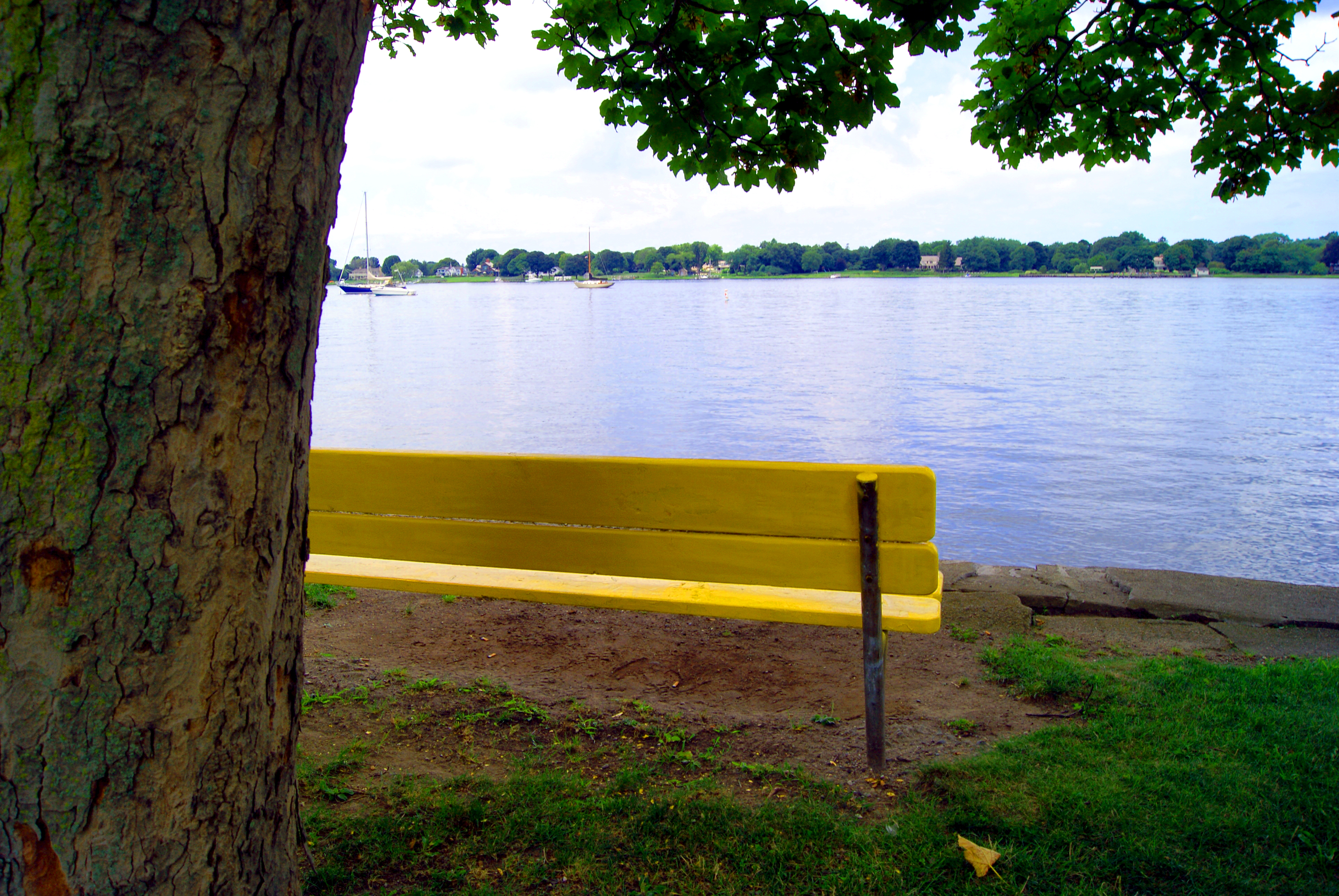 Waterfront bench photo