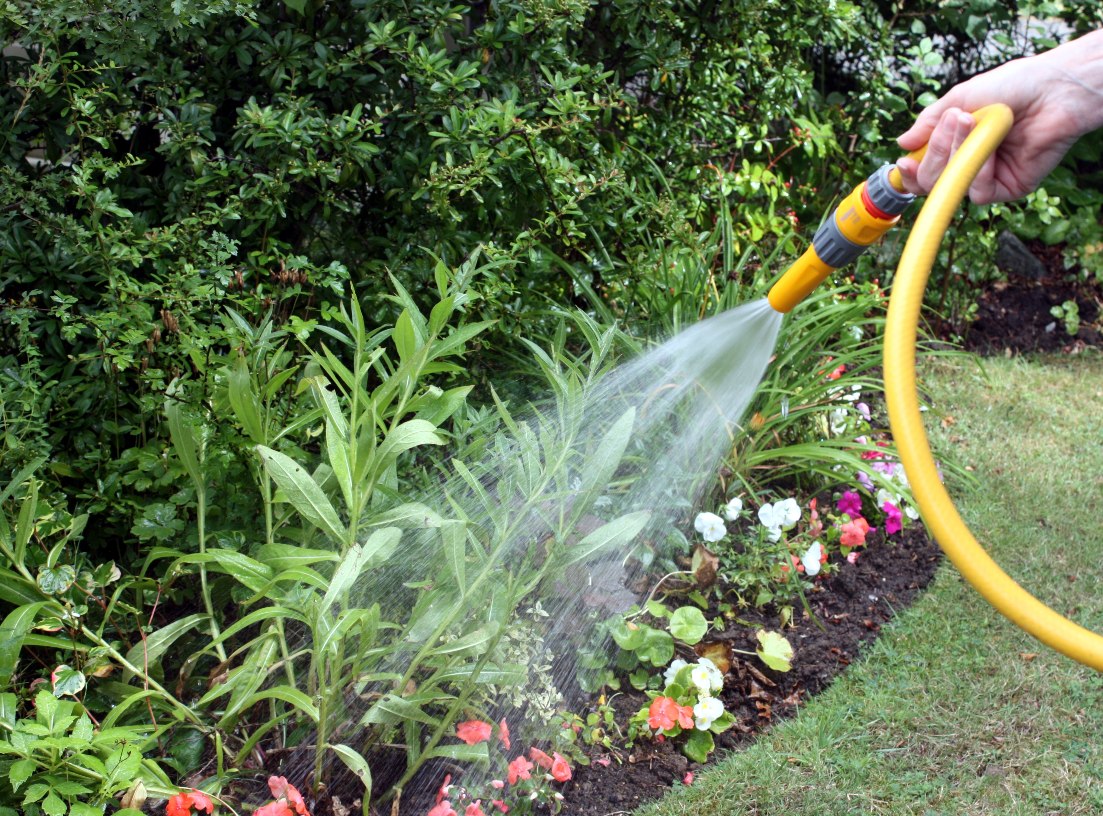 Organic Watering | Well Done Landscaping | Well Done Landscaping