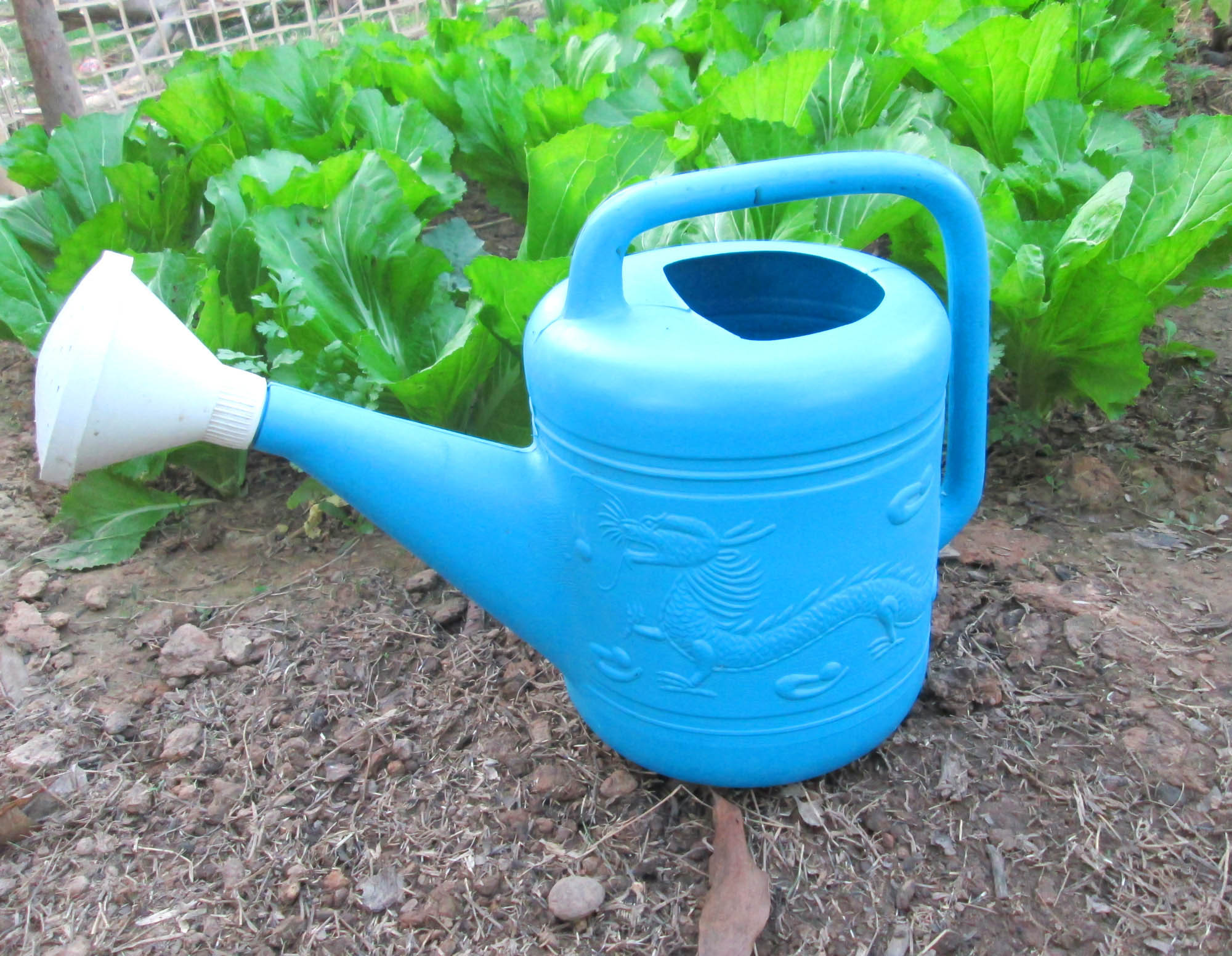 Watering with vegetable garden photo