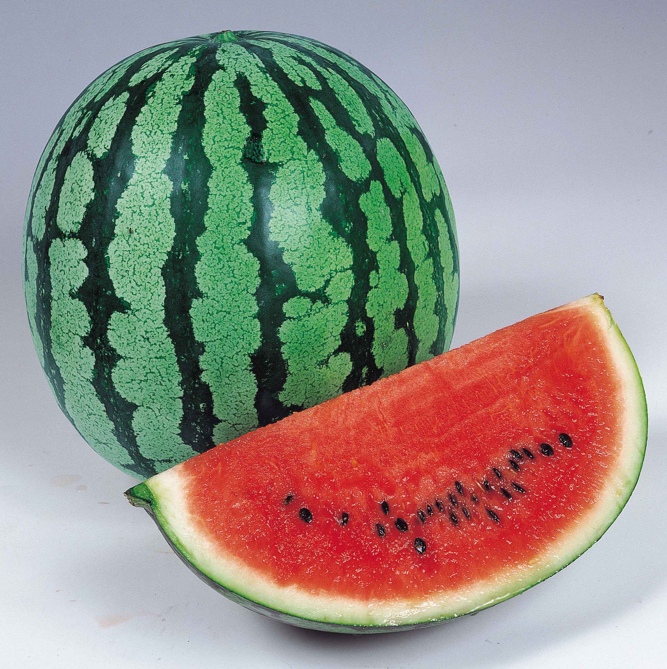 ORIENTAL BALL F1 Hybrid Watermelon - Allied Botanical Corporation