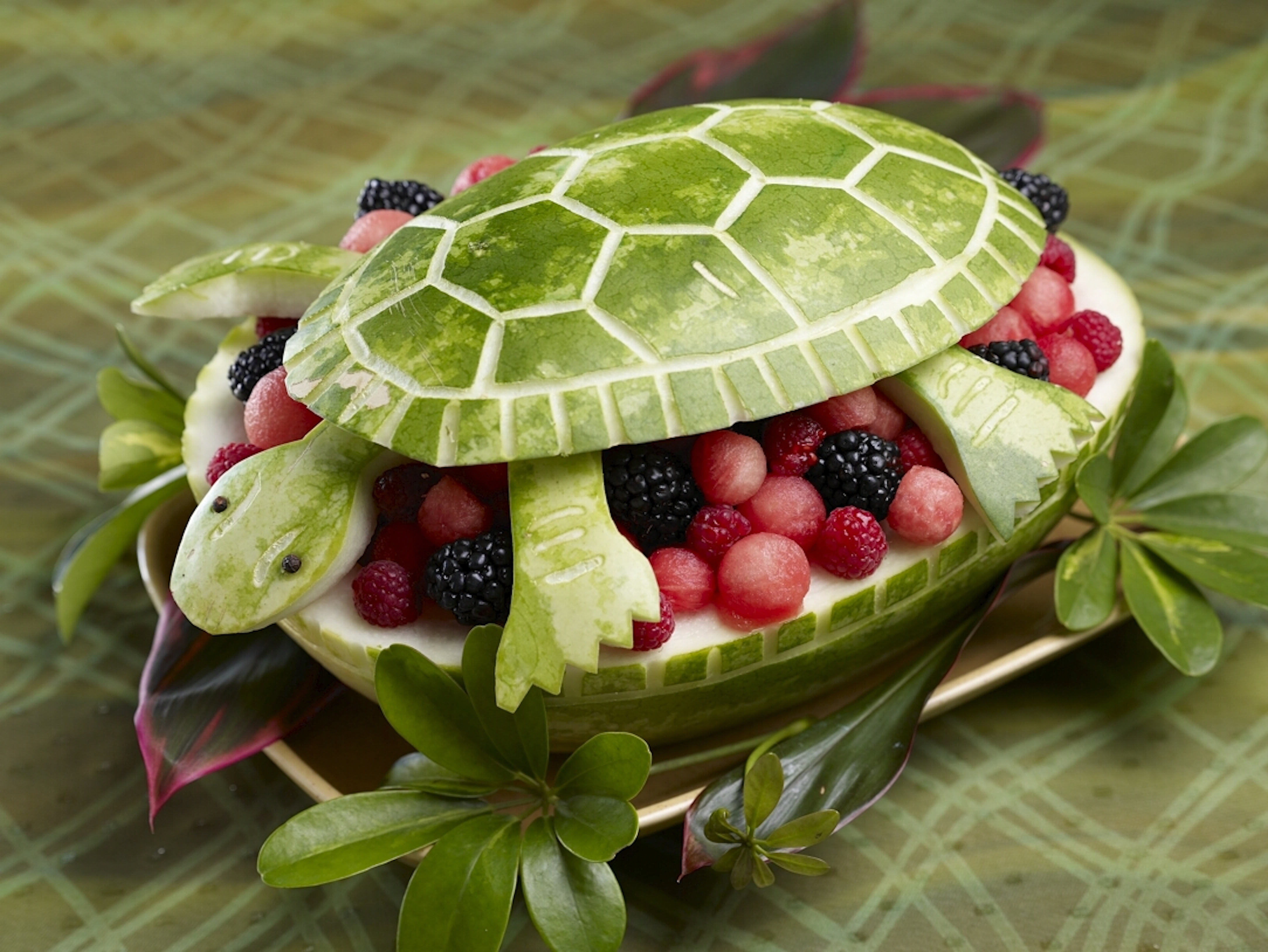 Watermelon Board | Turtle