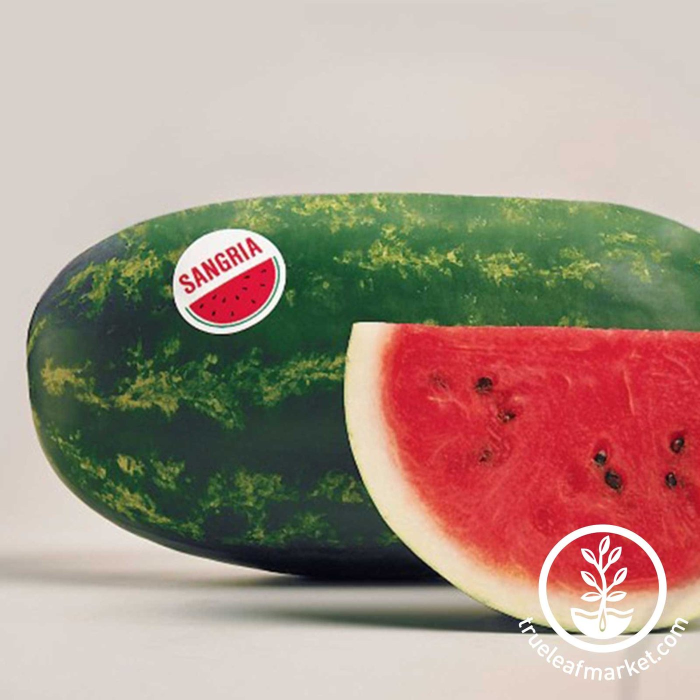 Non-GMO Sangria Hybrid Watermelon Seeds | Watermelon Garden Seed
