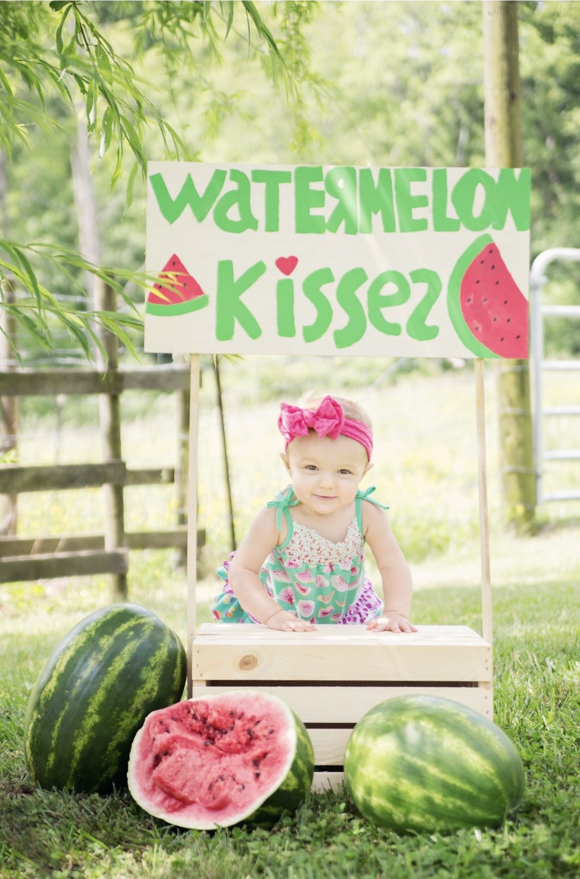 Watermelon Stand--- Watermelon Party! | Landree turns one ...