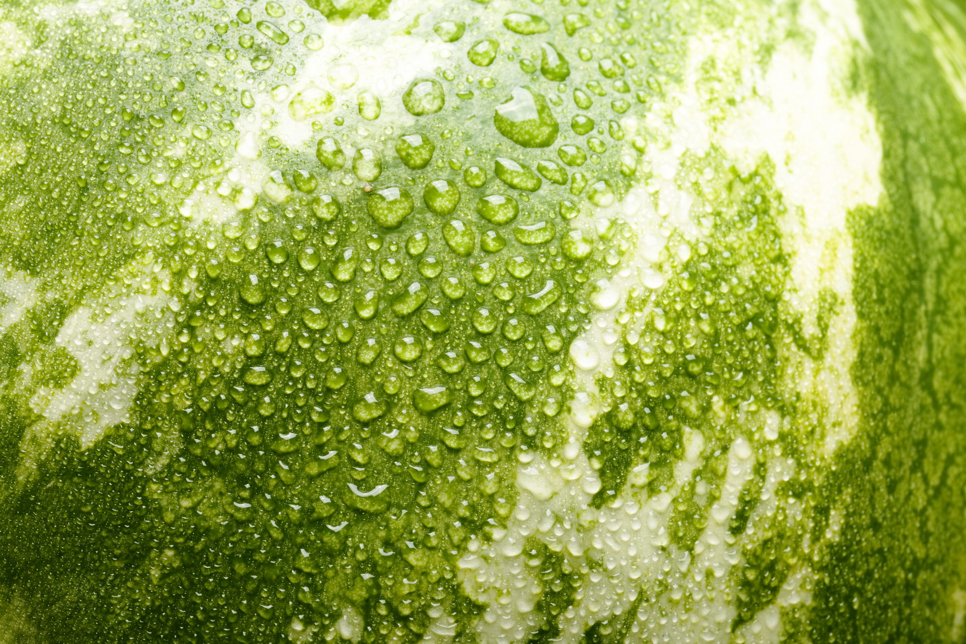 Watermelon with water drops photo