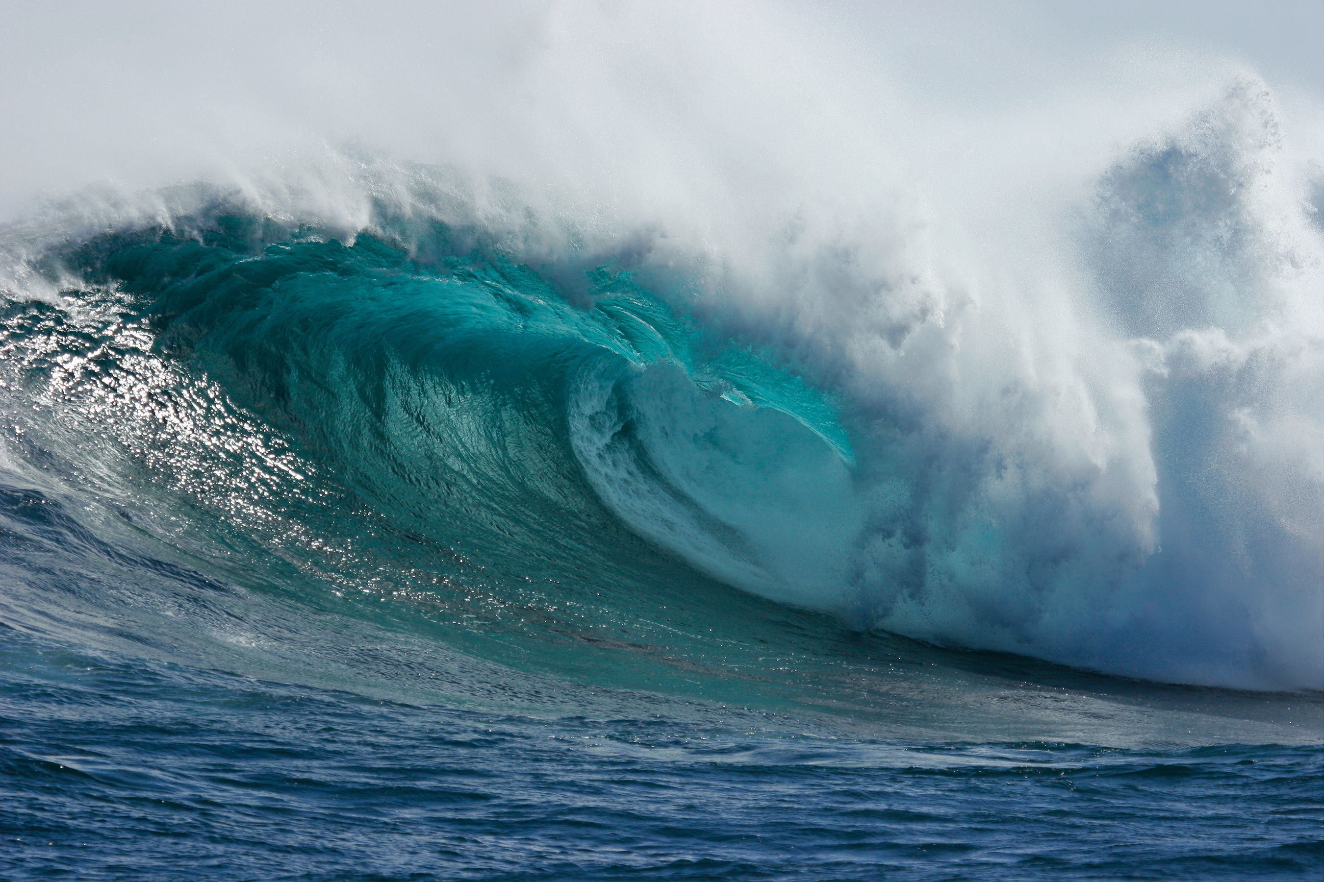 Riding the Waves of Big Data