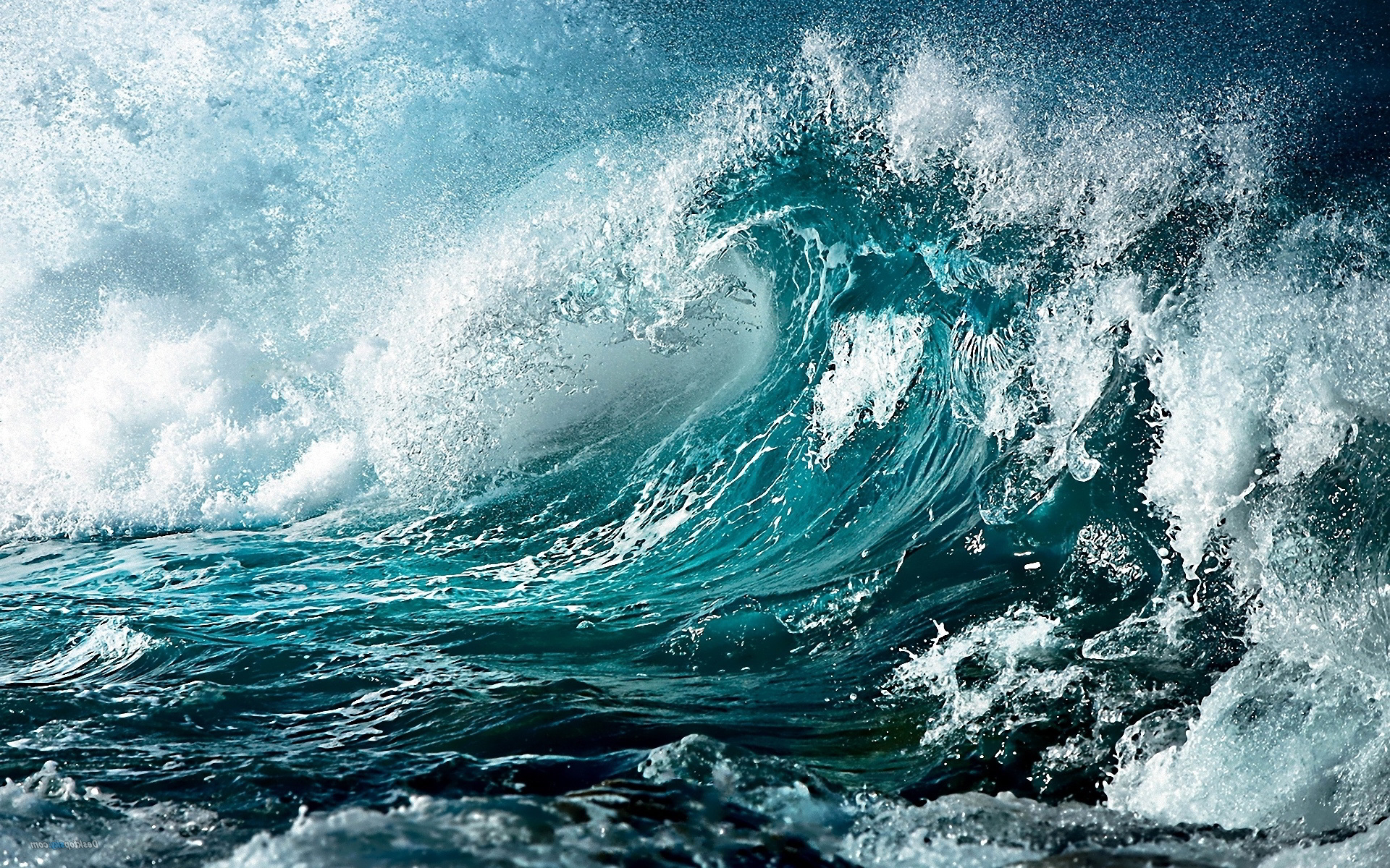 Image - Big-blue-waves-pictures.jpg | Survivor ORG Wiki | FANDOM ...