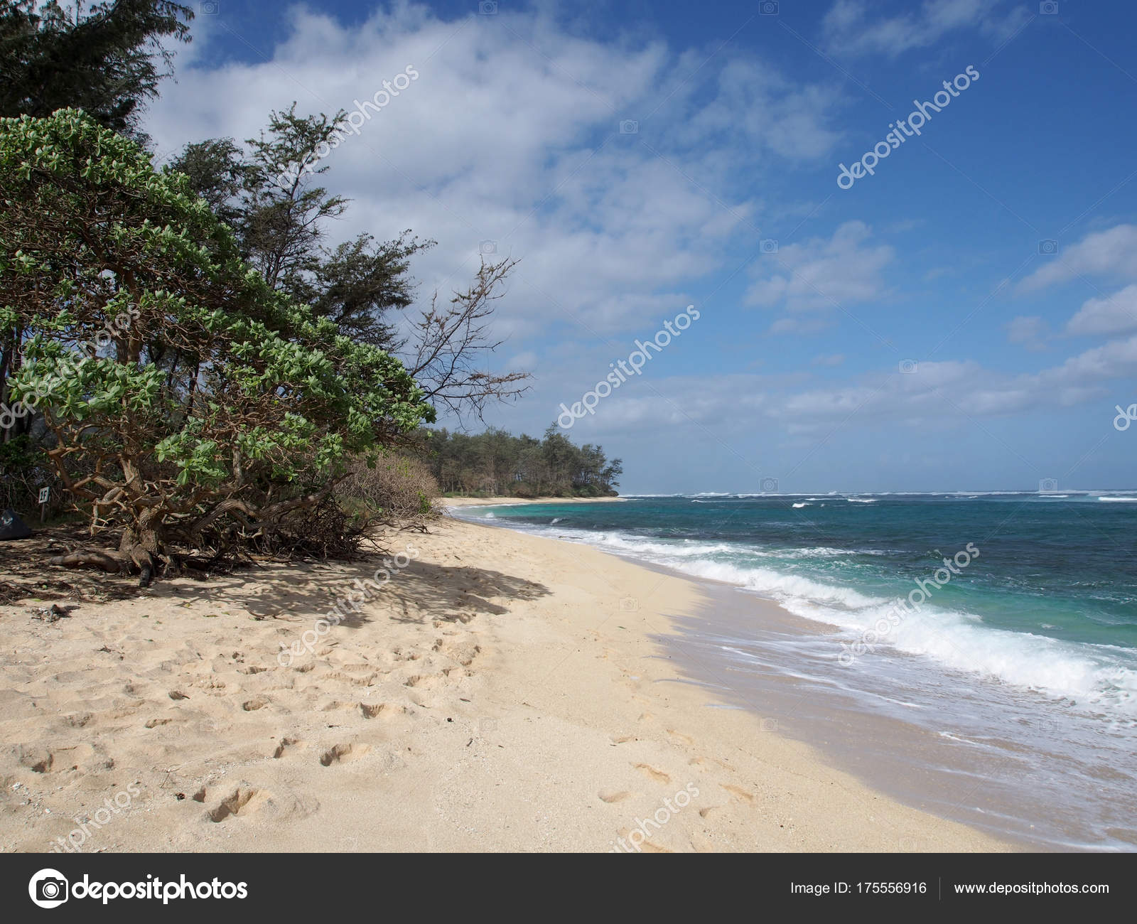 Vegetation along beach with Shallow wavy ocean waters — Stock Photo ...