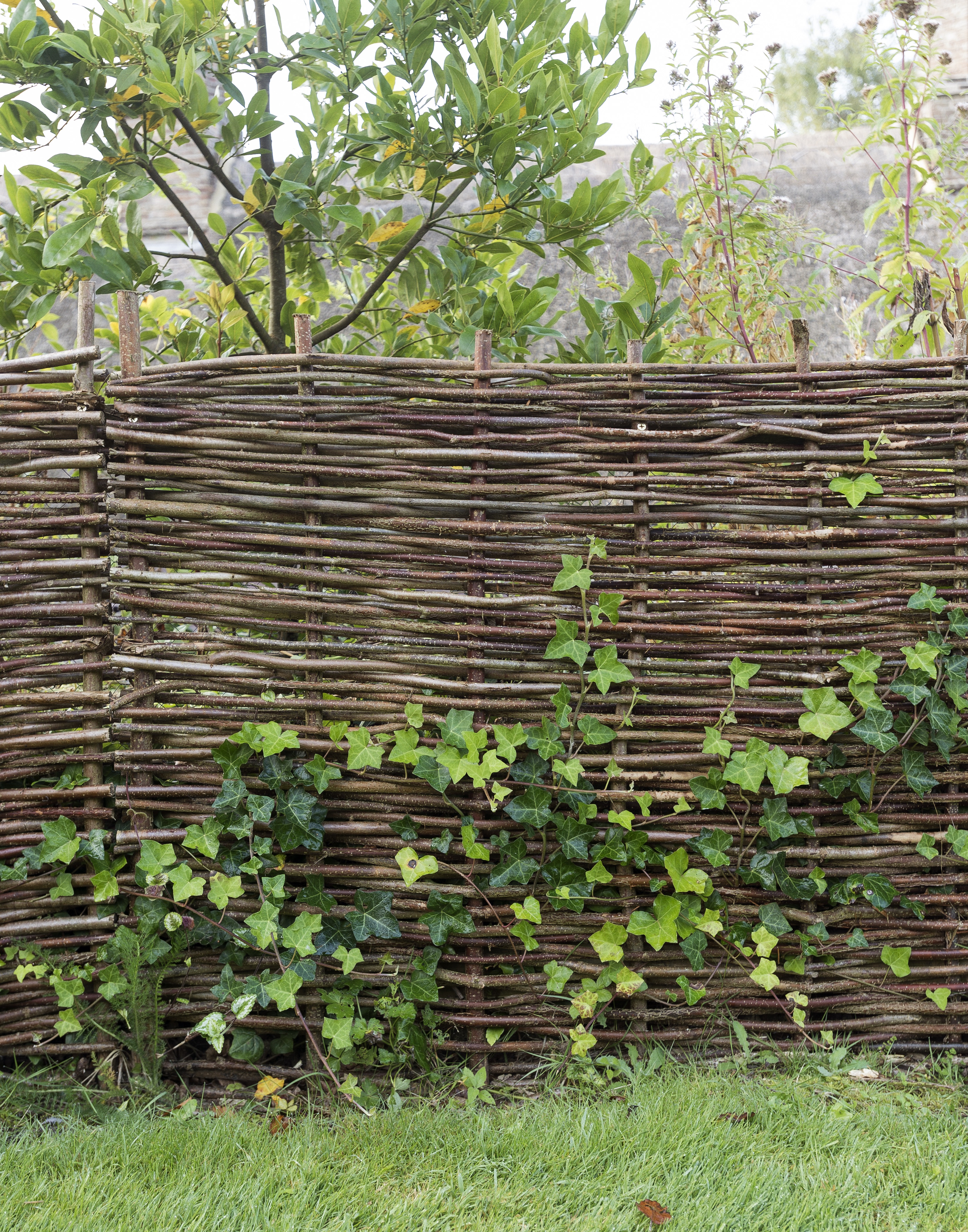 Hardscaping 101: Woven Fences - Gardenista