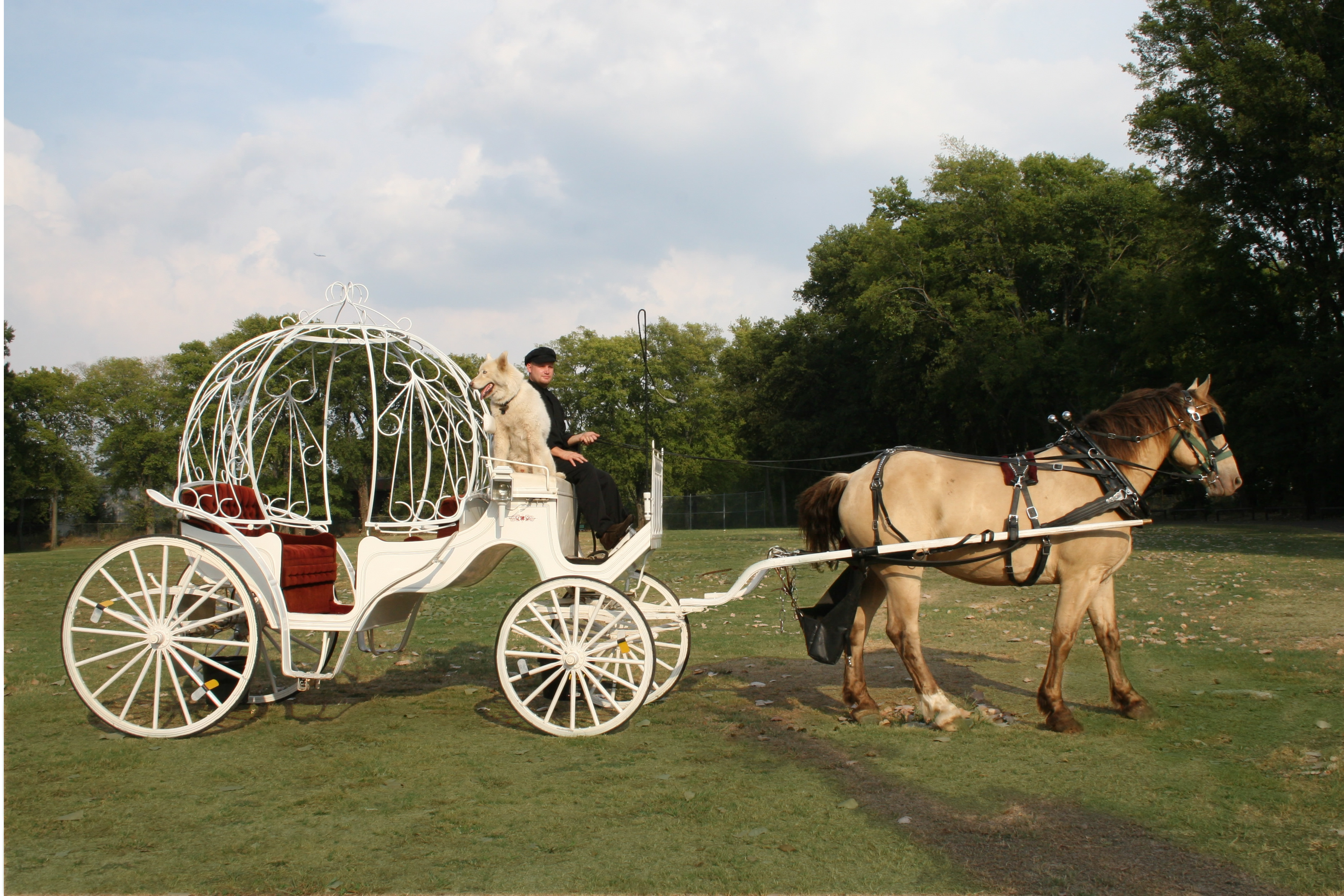 Memphis Wedding Carriage : Uptown Carriage Weddings