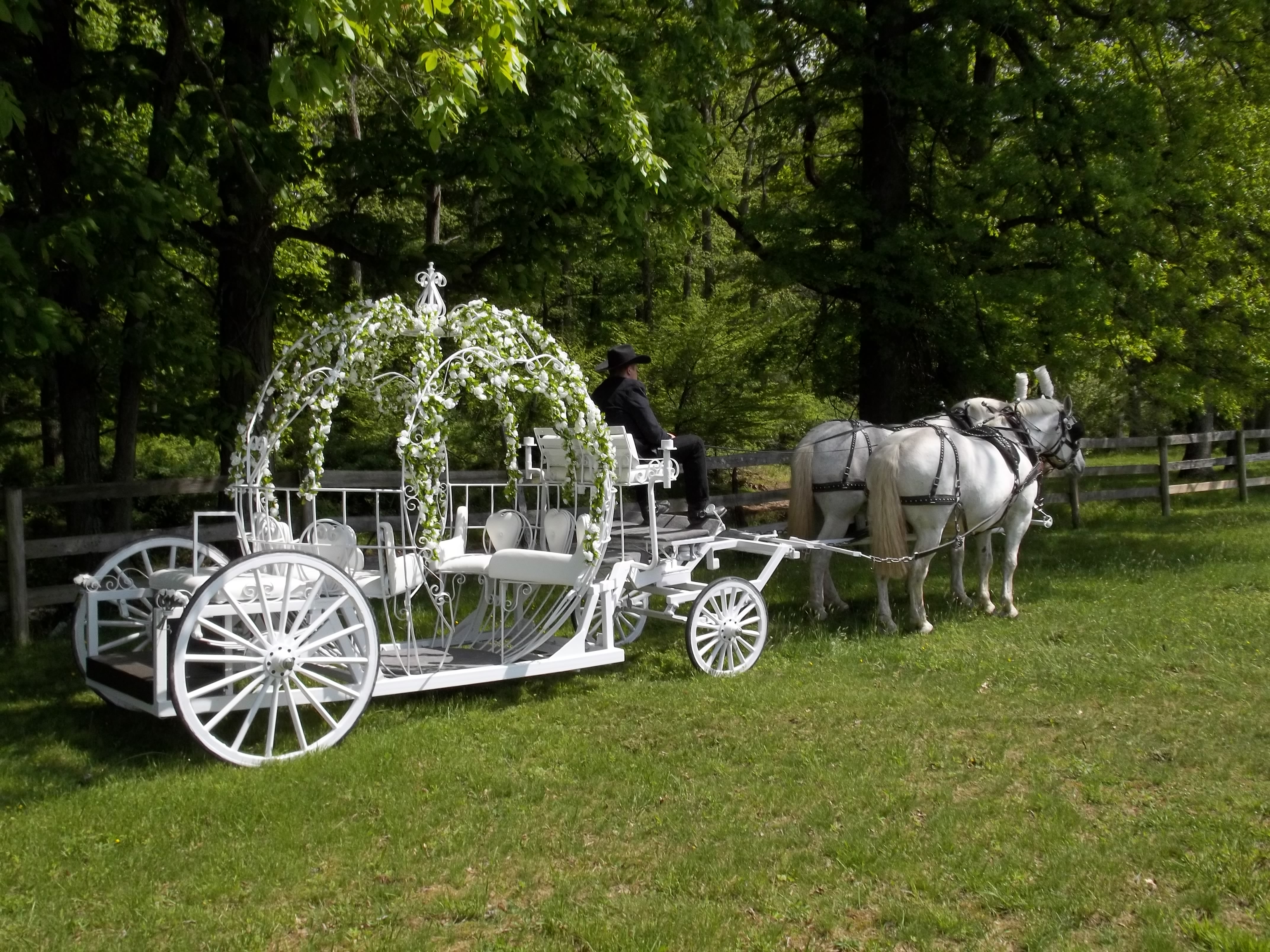 Horse & Carriage Wedding Rental | NJ Carriage Rides | Cloverland ...