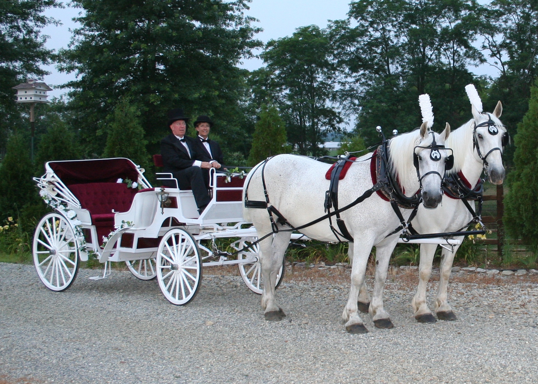 Carriages and Wagons | Horse Drawn Hayrides And Wedding Carriages