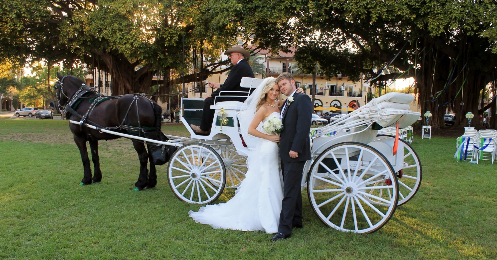 A horse and carriage make up for a truly unique wedding experience ...