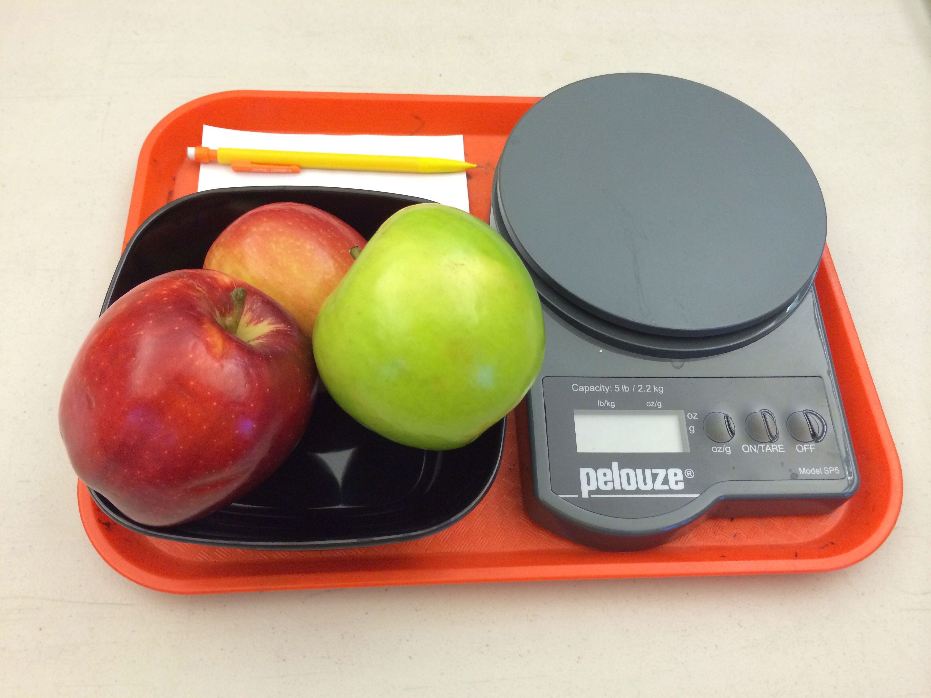 Montessori science estimation apple type weighing | Montessori Life ...