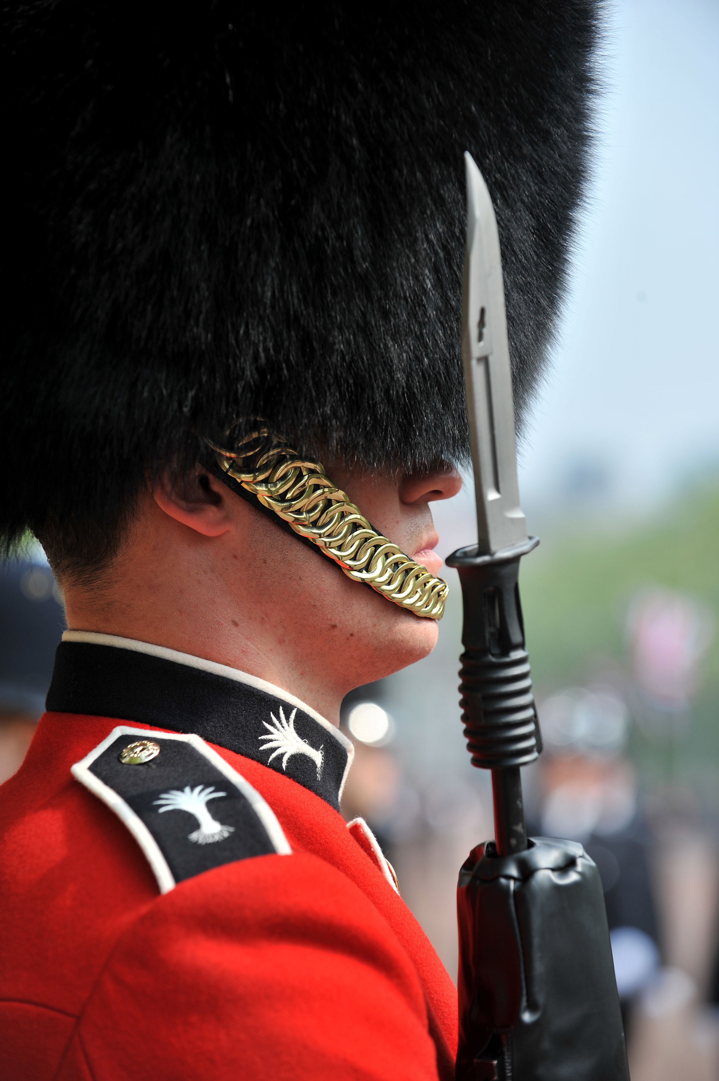File:Guardsman of the Welsh Guards Lines the Royal Wedding Route MOD ...