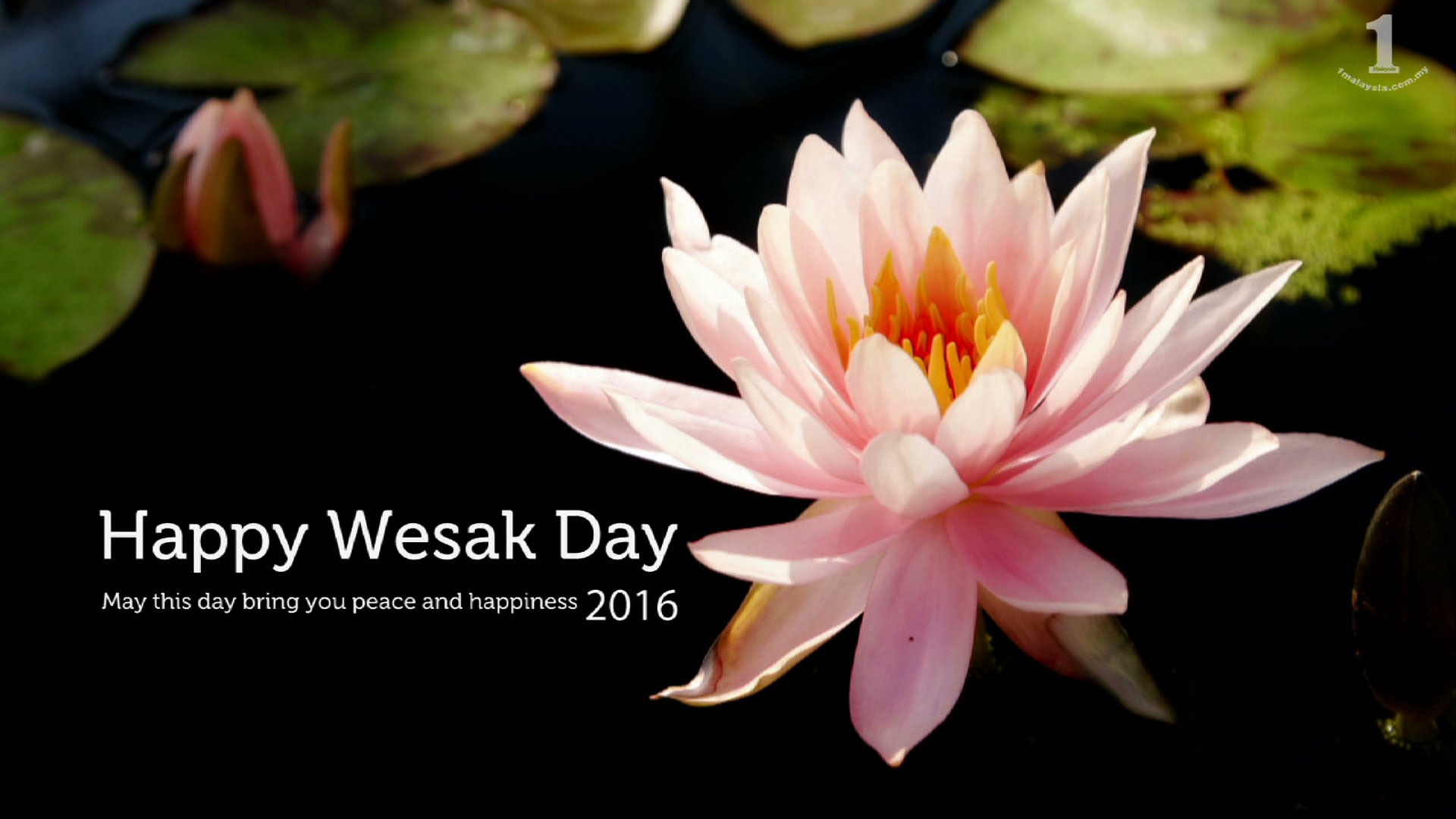 Happy Wesak Day 2016 - YouTube