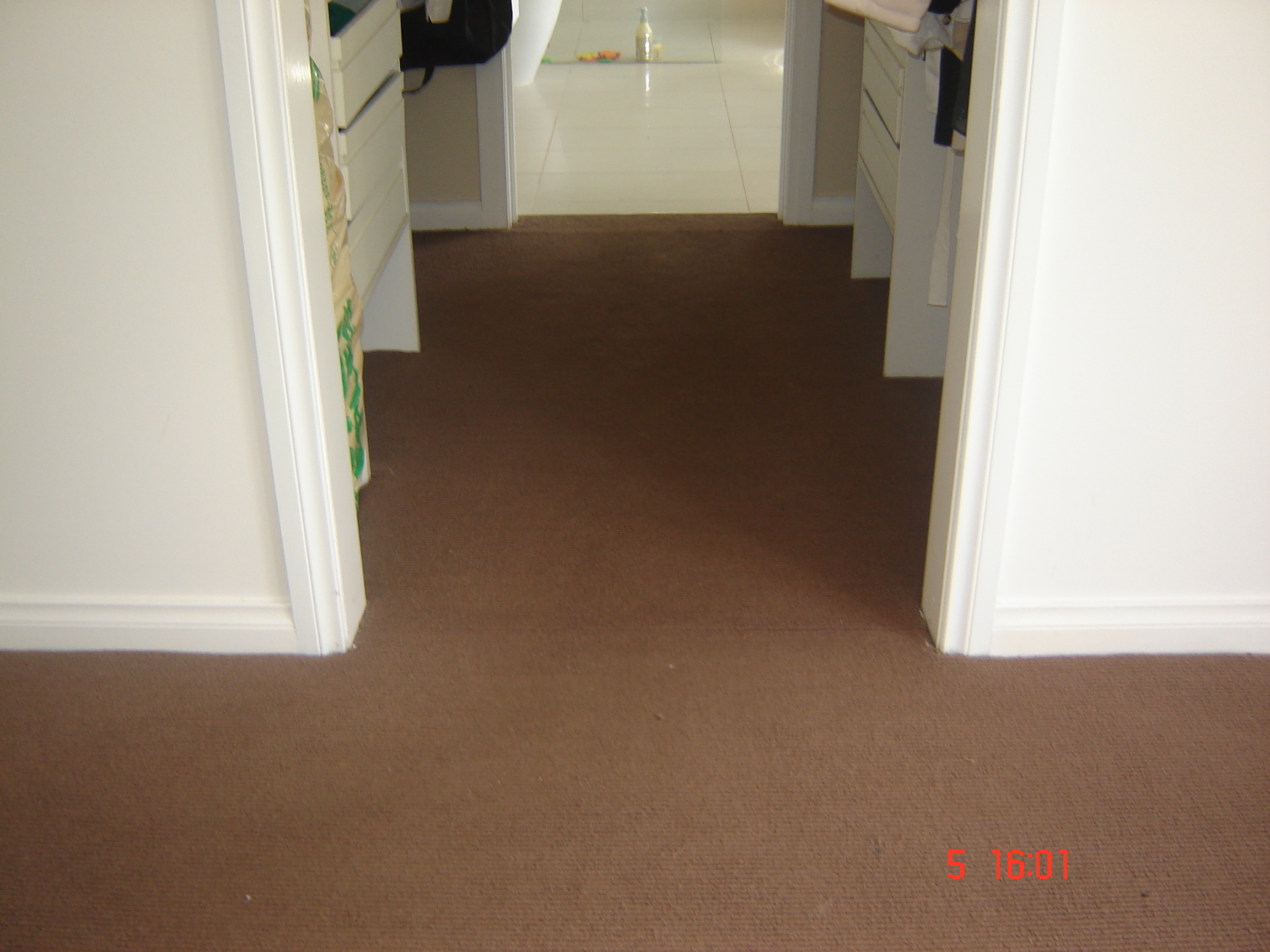 Check Weather Your Flooded Carpet is Properly Dried or not?
