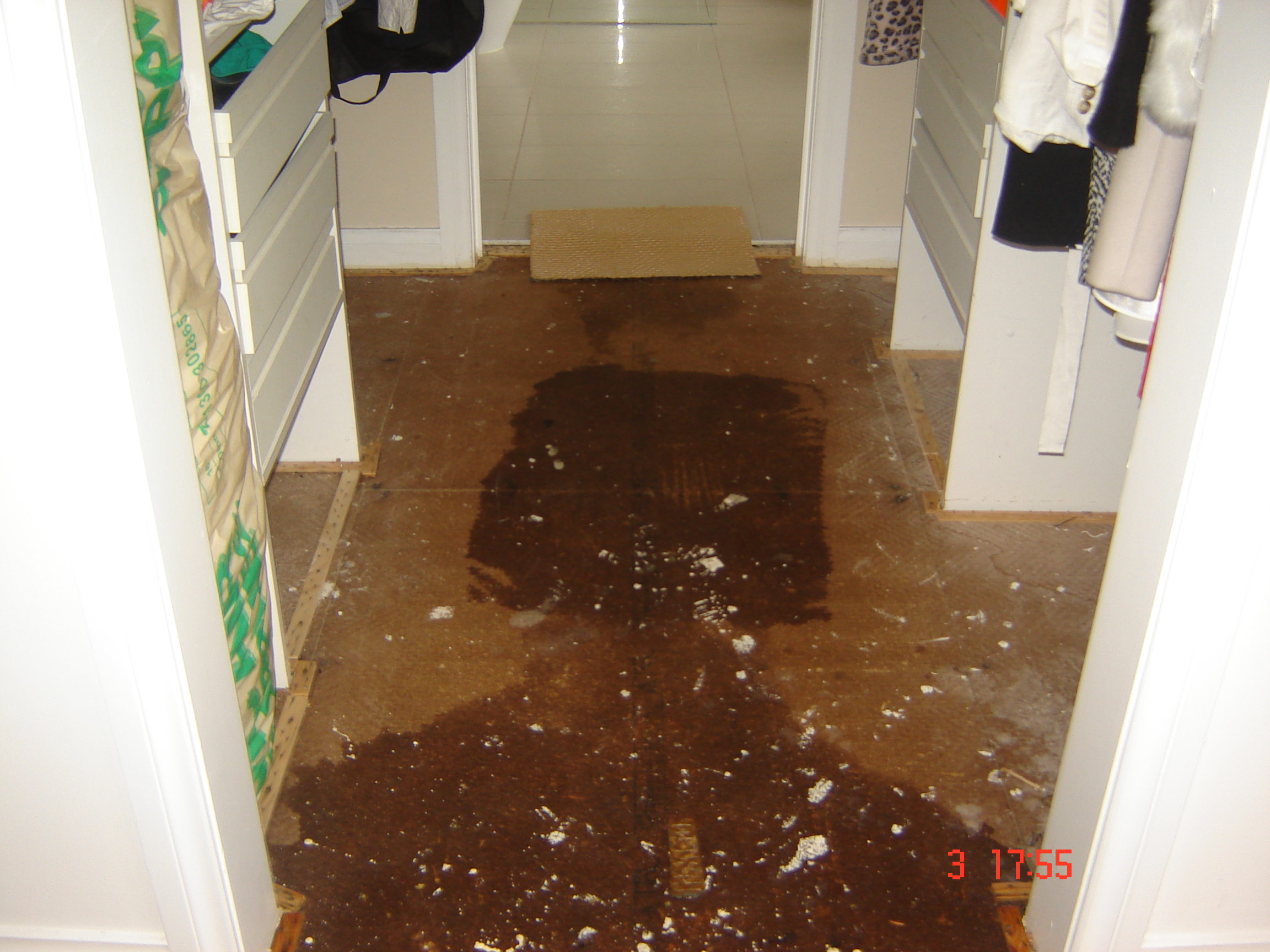 Check Weather Your Flooded Carpet is Properly Dried or not?