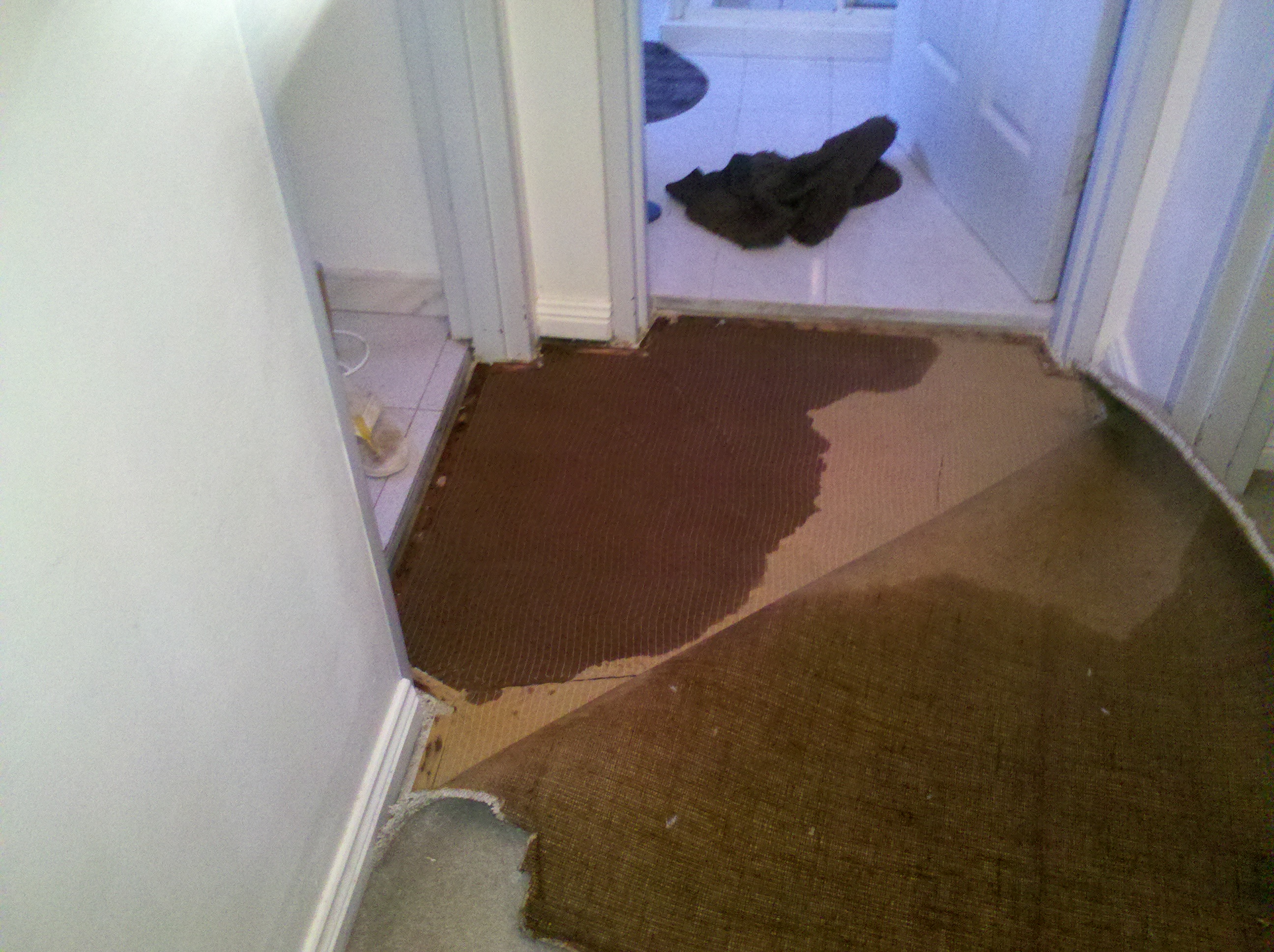 Water Damage Carpet Cleaning Restoration Drying Sydney