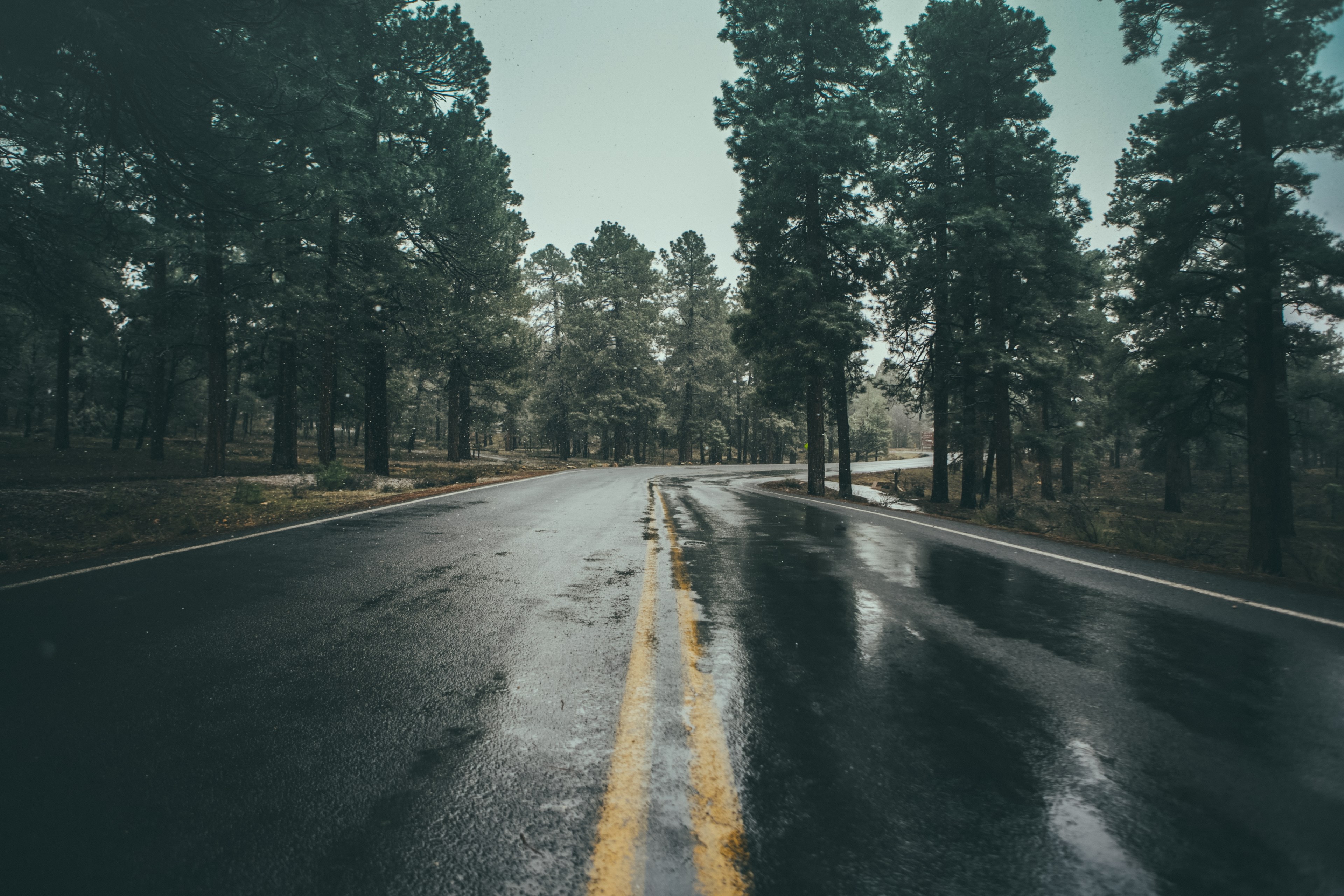 road wet bend and curve hd 4k wallpaper and background