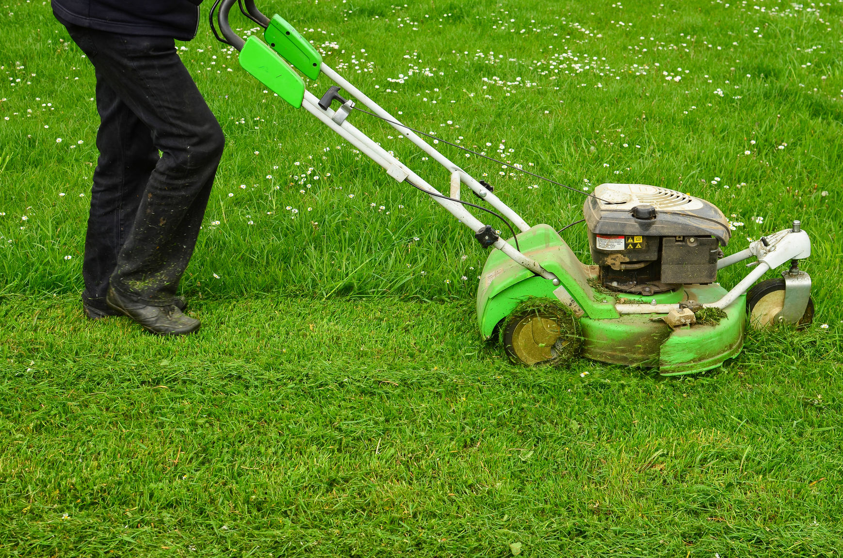 Tips for mowing a wet lawn - Snappy's
