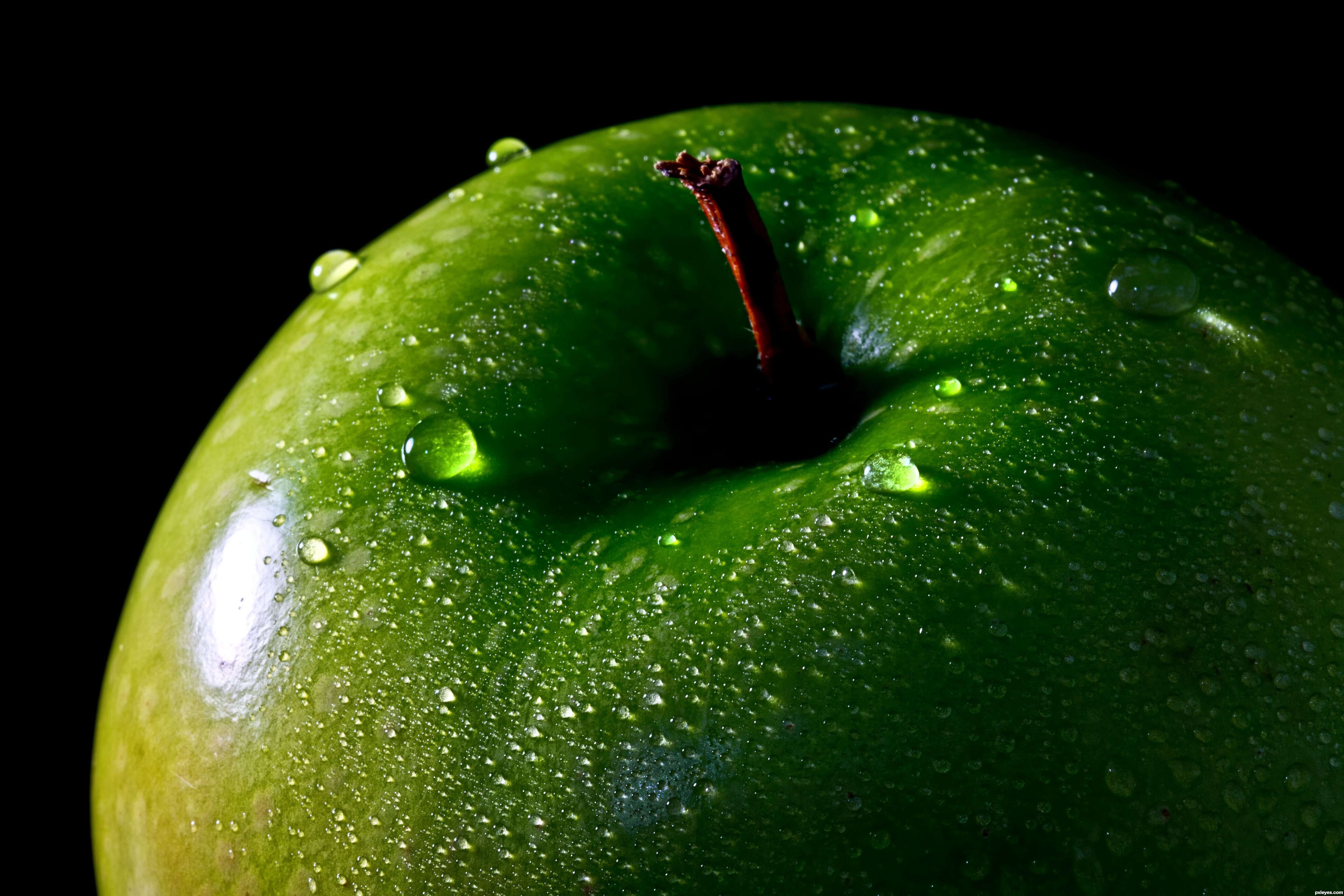 Wet green apple photo