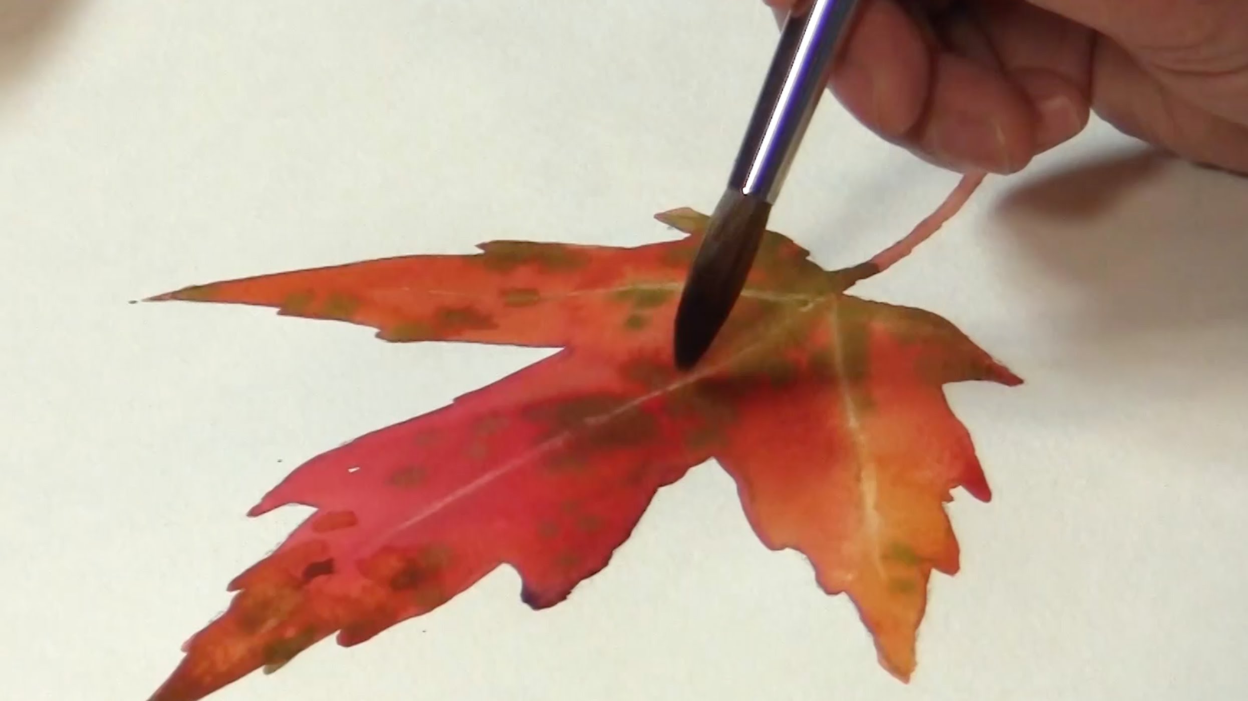 Plant painting - watercolor of colorful autumn leaf #5 v1 - YouTube