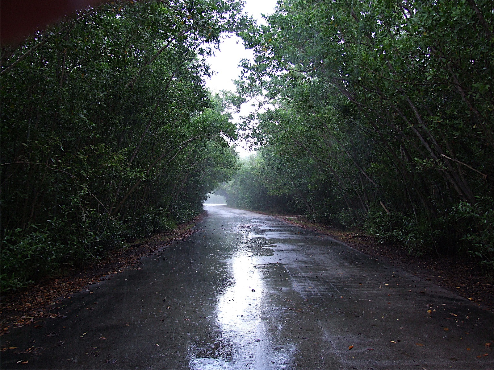 Wet Road « calmunist.com