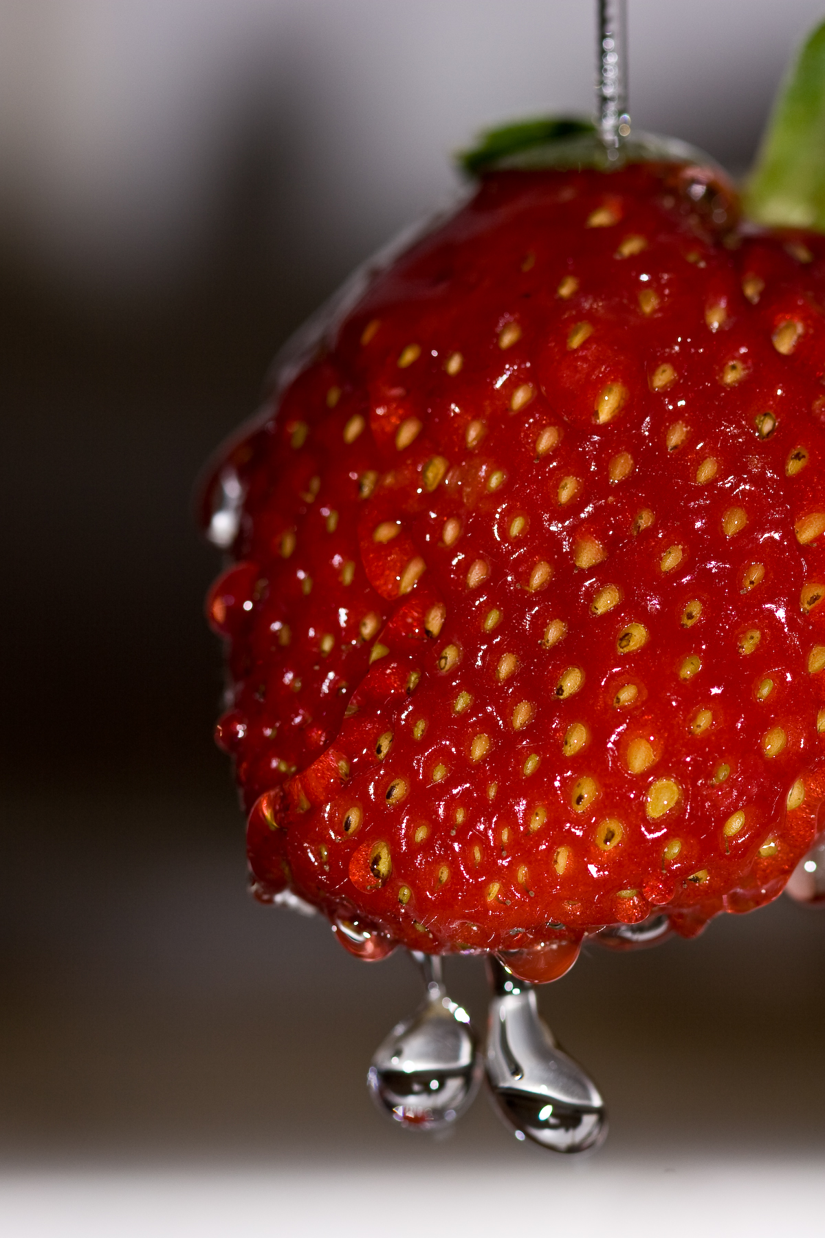 Wet strawberry photo