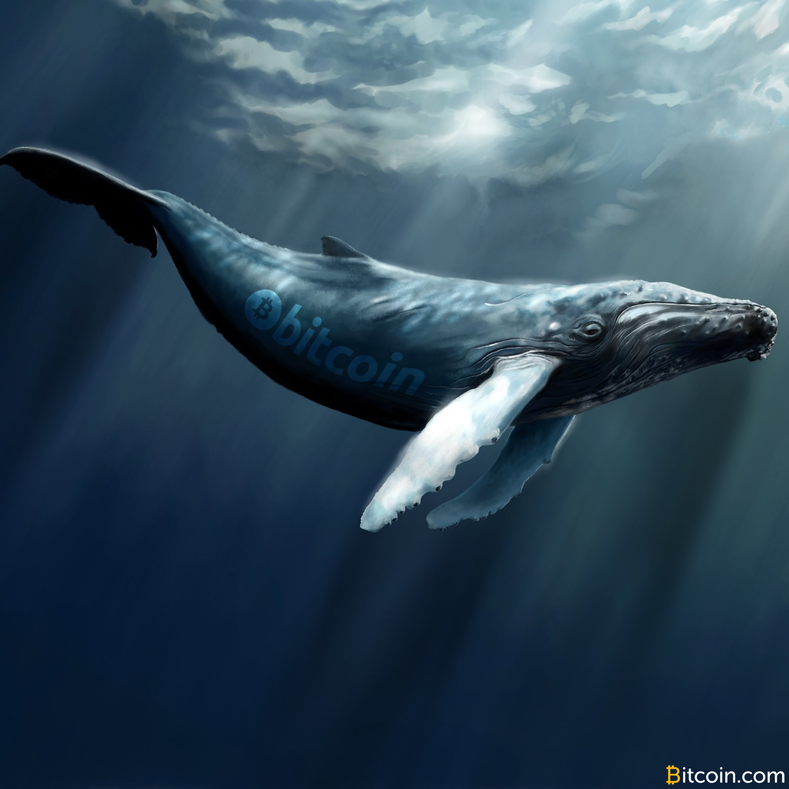 Bitcoin Whales and How They Make Market Waves - Bitcoin News