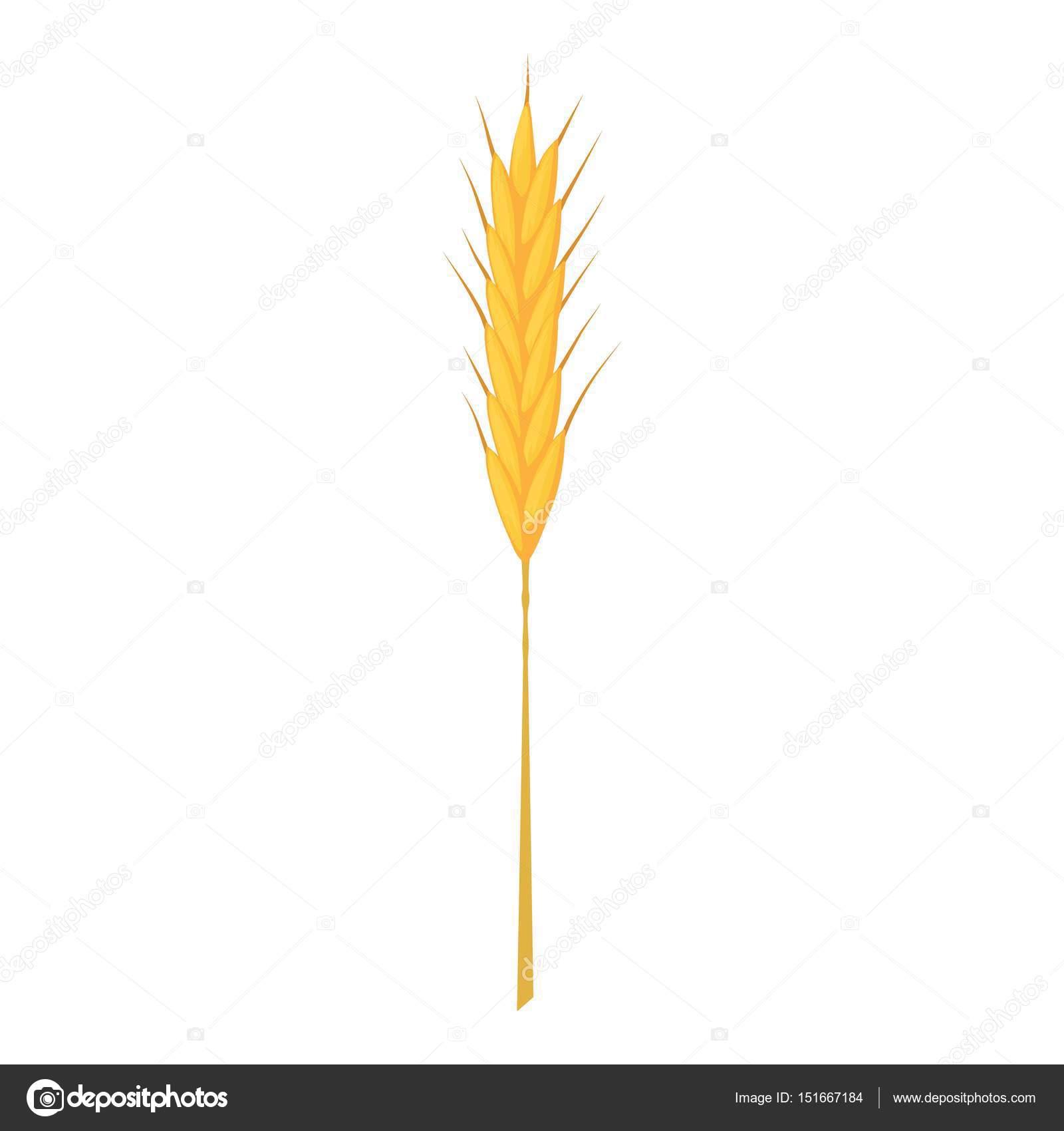 Wheat stalk icon, cartoon style — Stock Vector © ylivdesign #151667184