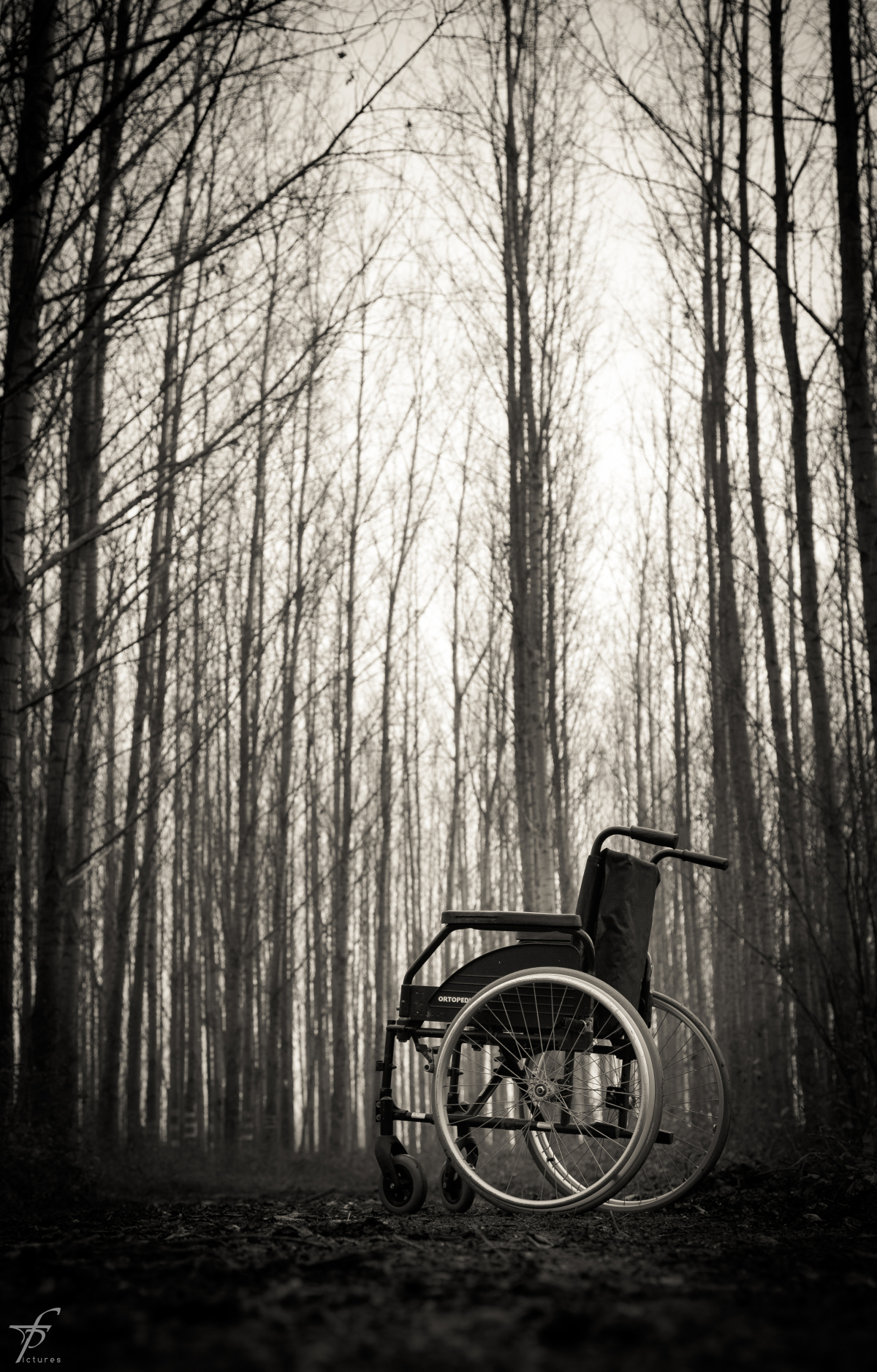 Wheelchair in the woods photo