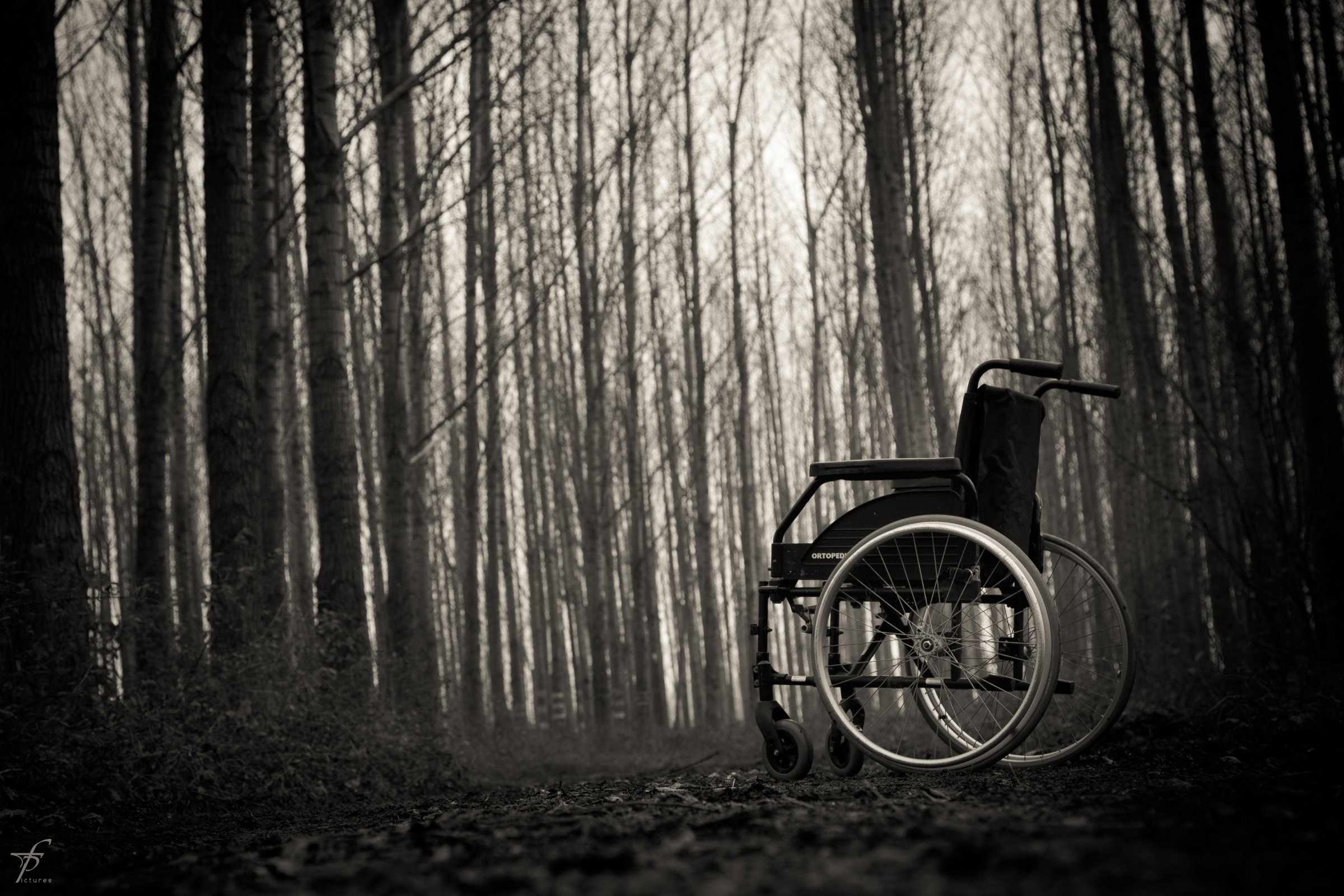Wheelchair in the woods photo